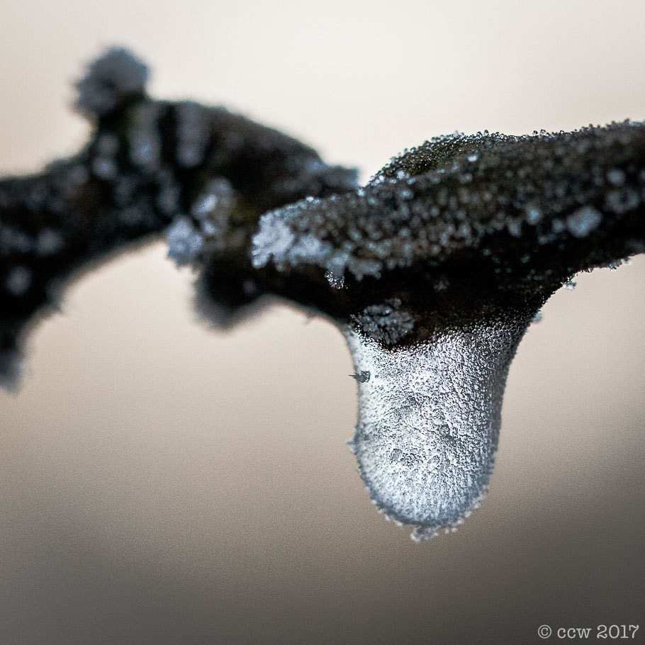 Canon EF 100mm F2.8L Macro IS USM sample photo. Ice drop photography