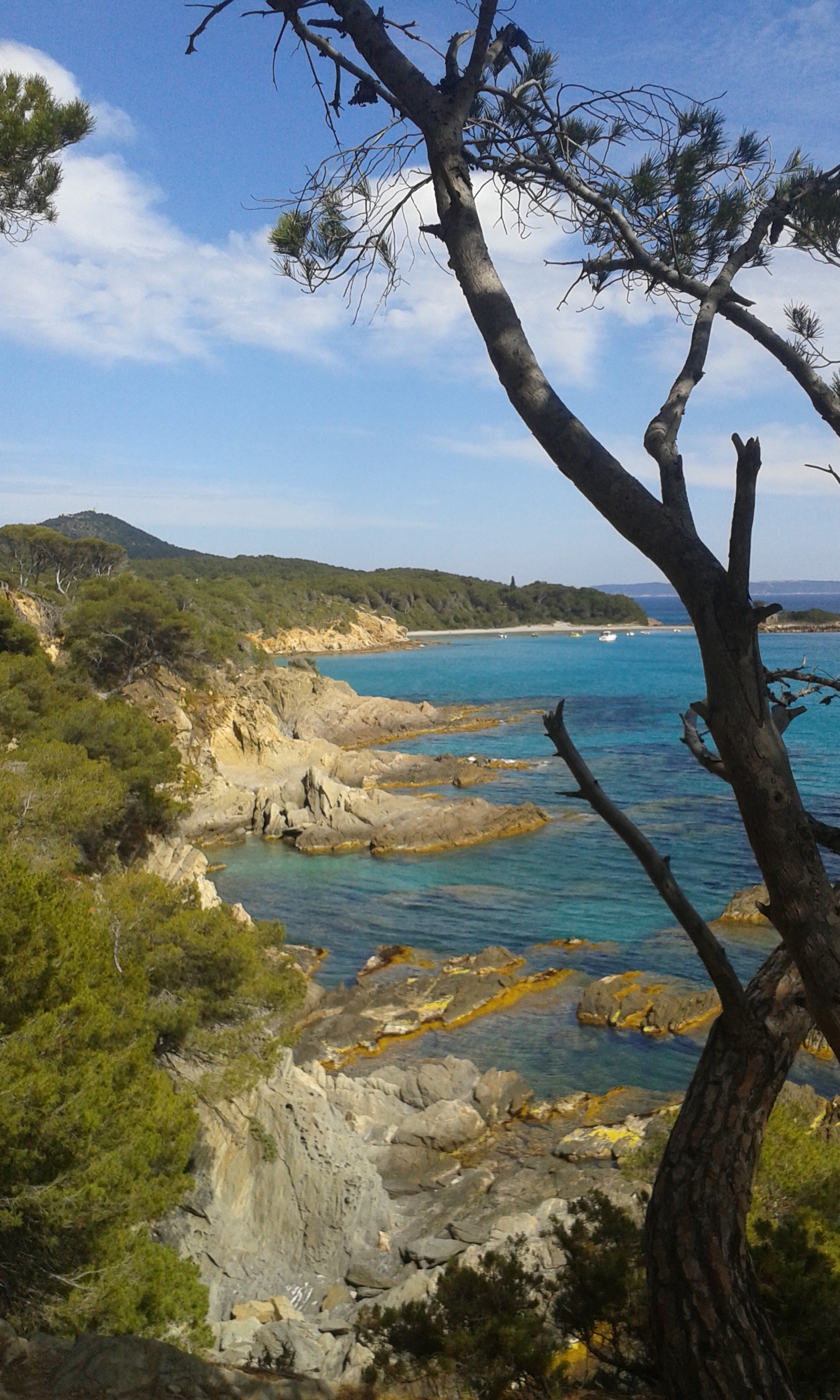 Samsung Galaxy Ace Style sample photo. Bregancon photography