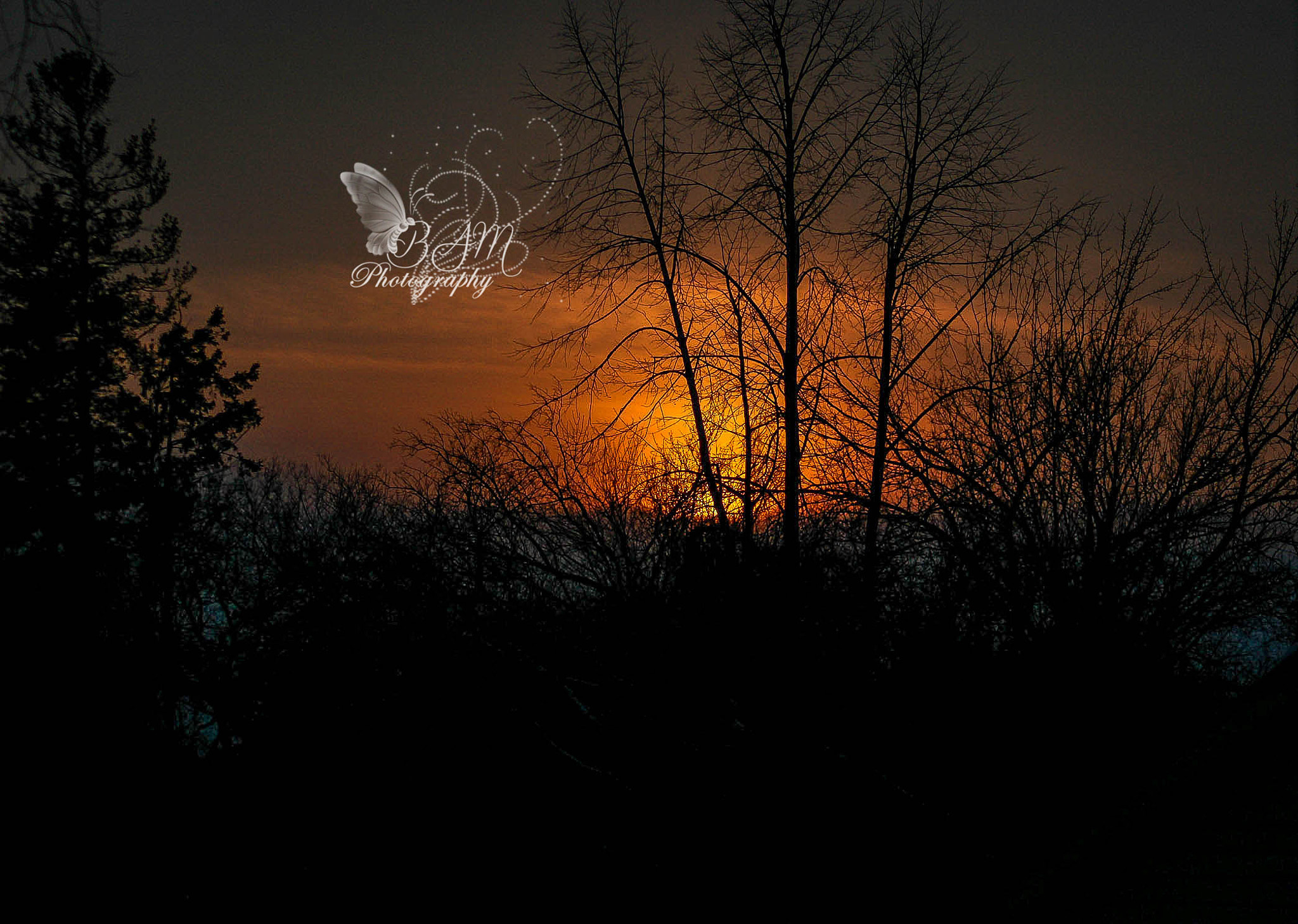 Nikon D70 sample photo. Winter sunset photography