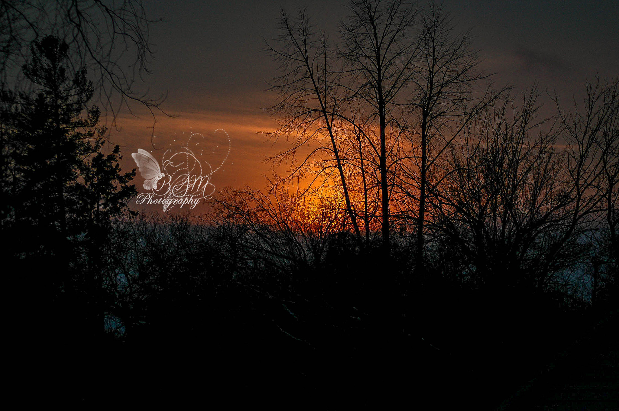 Nikon D70 sample photo. Winter sunset photography
