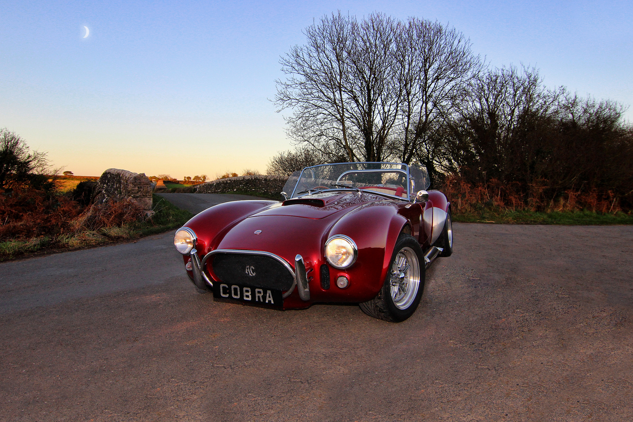 Tokina AT-X Pro 12-24mm F4 (IF) DX sample photo. Cobra by moon light photography