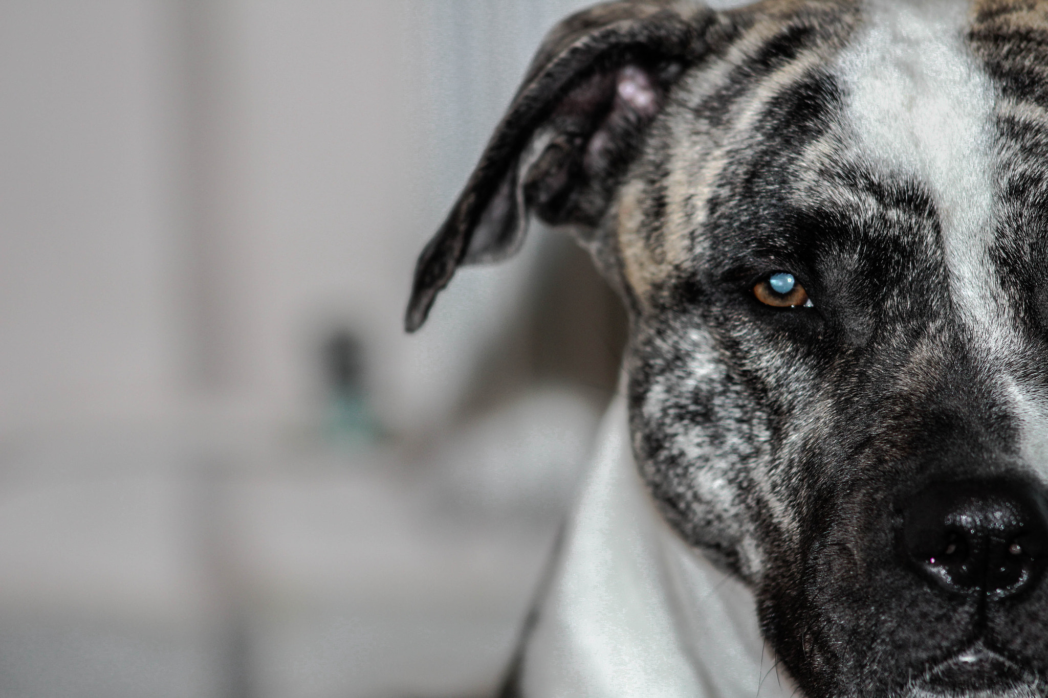 Canon EF 75-300mm f/4-5.6 USM sample photo. Keira photography