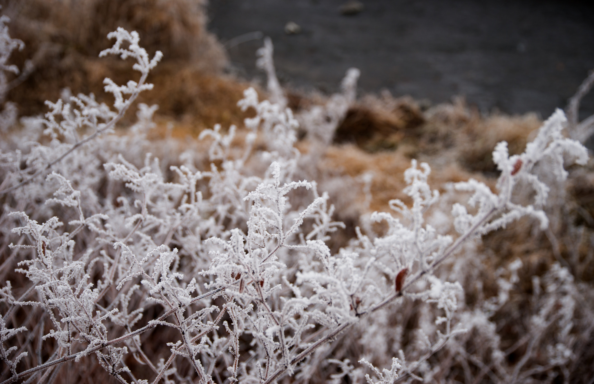 Sony a99 II + 24-105mm F4 sample photo. Winter in turckheim, december 2016 photography