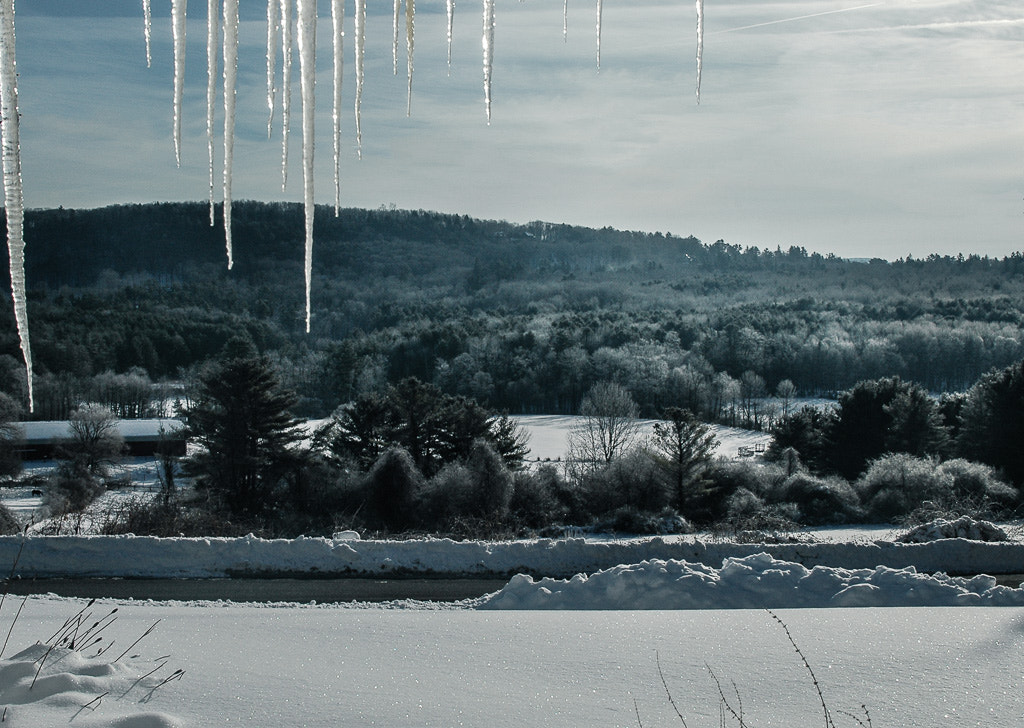 Nikon D70s sample photo. Icicles photography