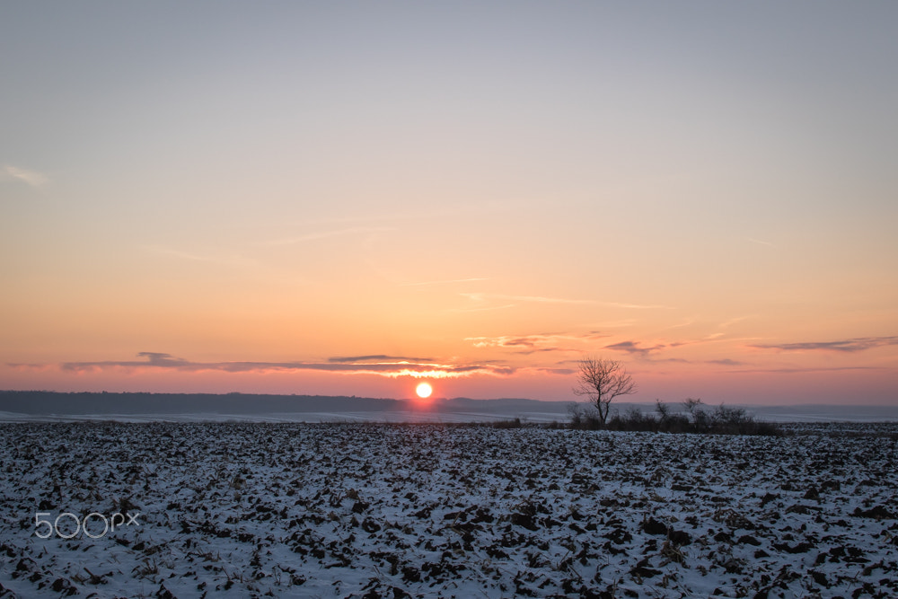 Canon EOS 7D Mark II + Sigma 30mm F1.4 EX DC HSM sample photo. Winter's sunset photography