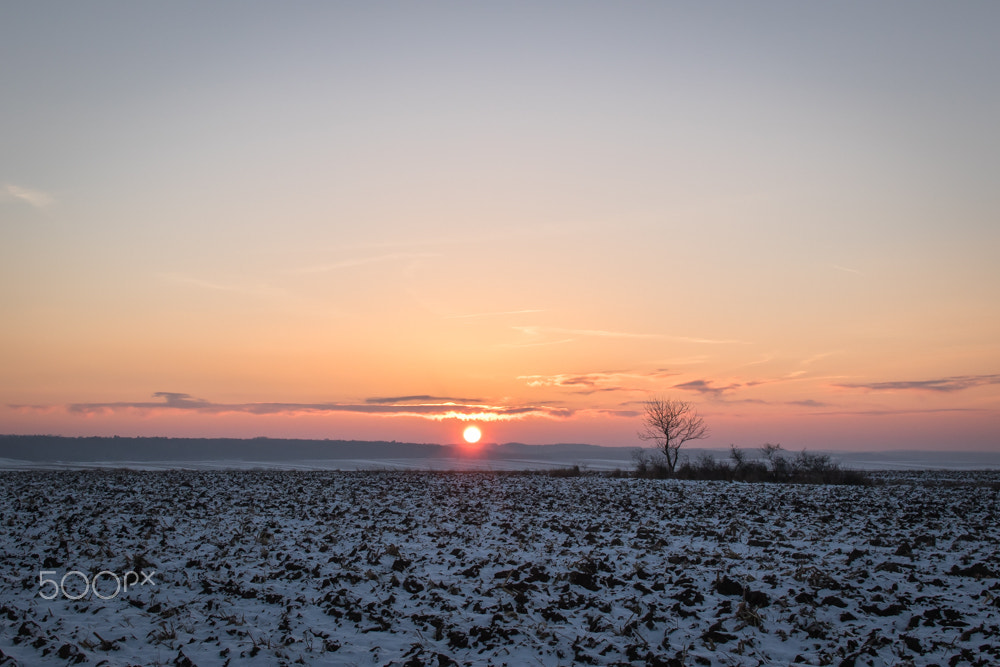 Sigma 30mm F1.4 EX DC HSM sample photo. Winter's sunset photography