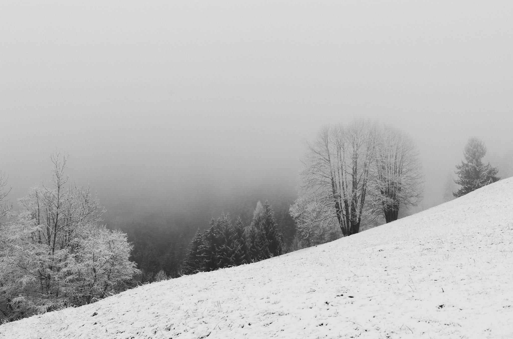Nikon AF-S Nikkor 24mm F1.8G ED sample photo. #lescontaminesmontjoie photography