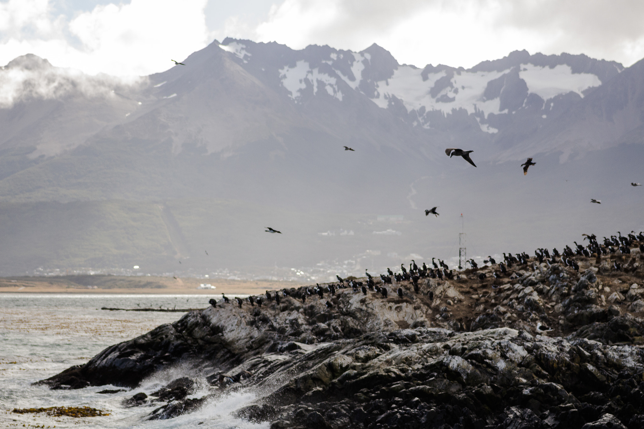 Canon EOS 100D (EOS Rebel SL1 / EOS Kiss X7) + EF75-300mm f/4-5.6 sample photo. In patagonia / tierra del fuego - beagle channel i photography