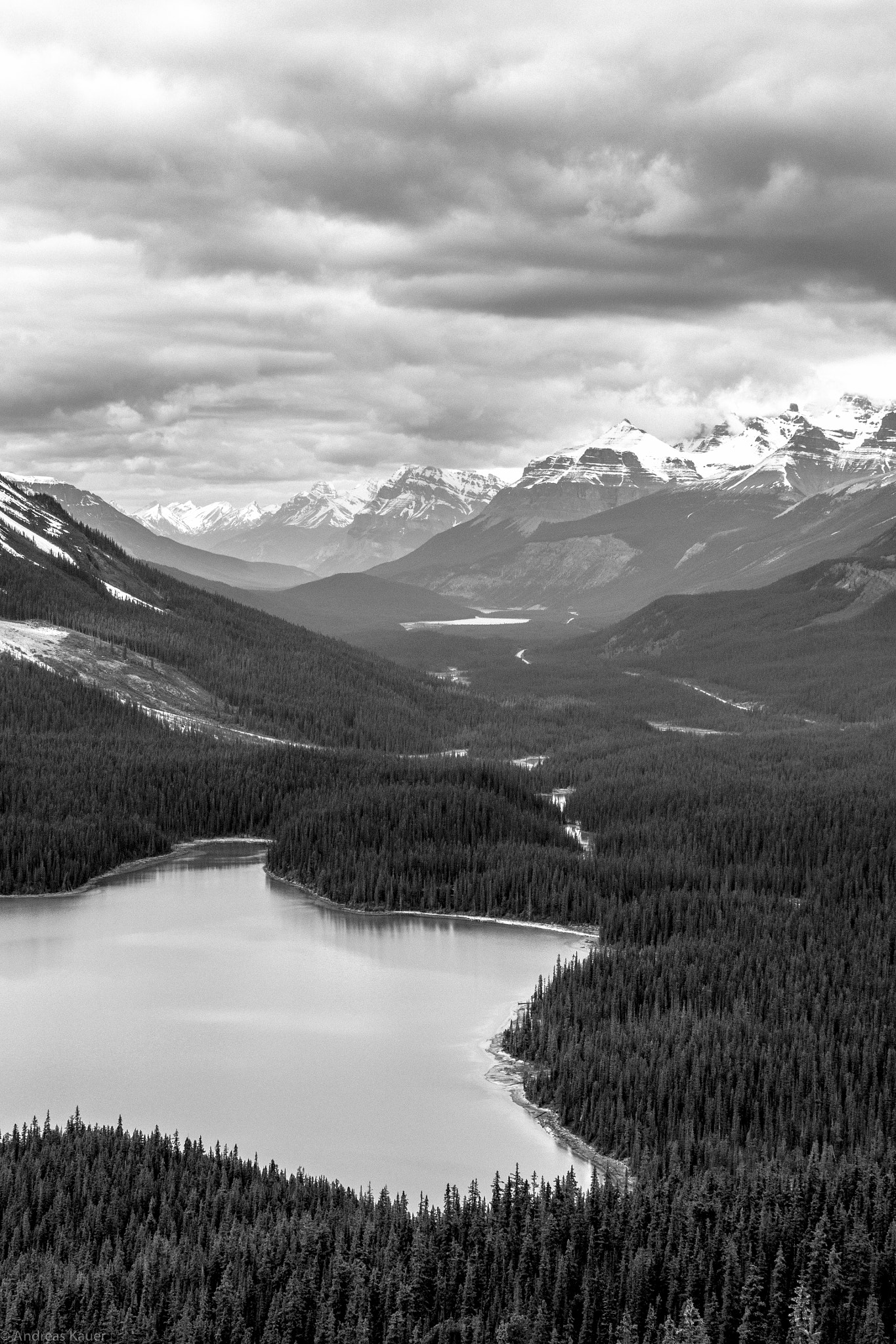 Panasonic Lumix DMC-GH4 sample photo. Black ´n white peyto lake photography