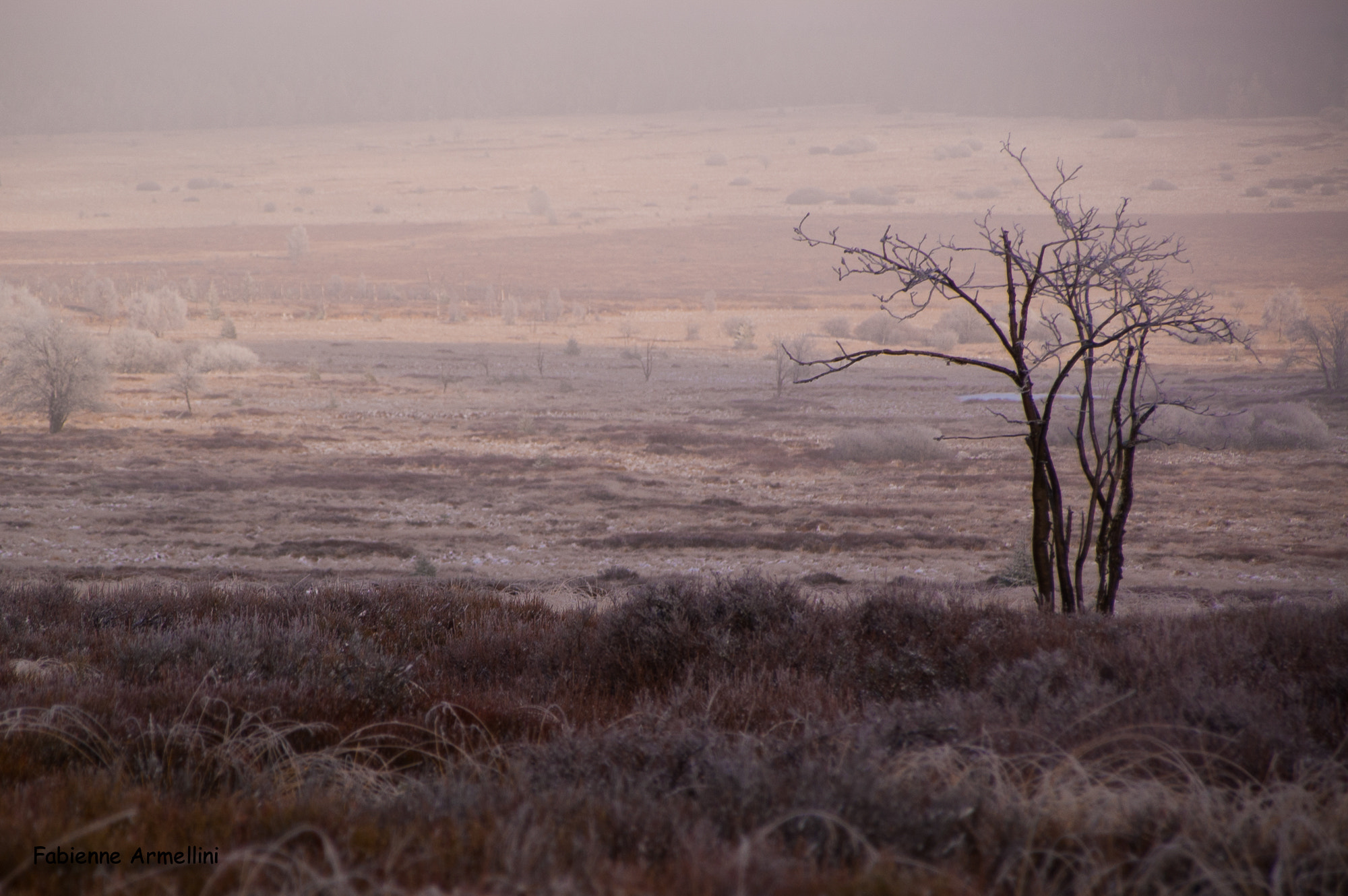 Sigma 28-300mm F3.5-6.3 DG Macro sample photo. Sweet belgian winter photography