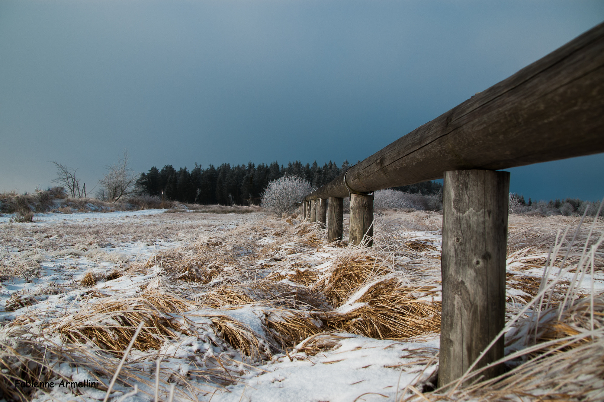 Sigma 28-300mm F3.5-6.3 DG Macro sample photo. Hautes fagnes - signal de bottange - belgique photography