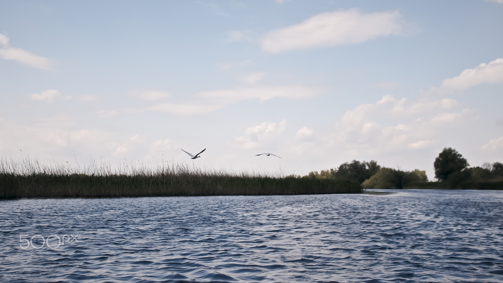 Olympus OM-D E-M5 sample photo. Danube delta photography