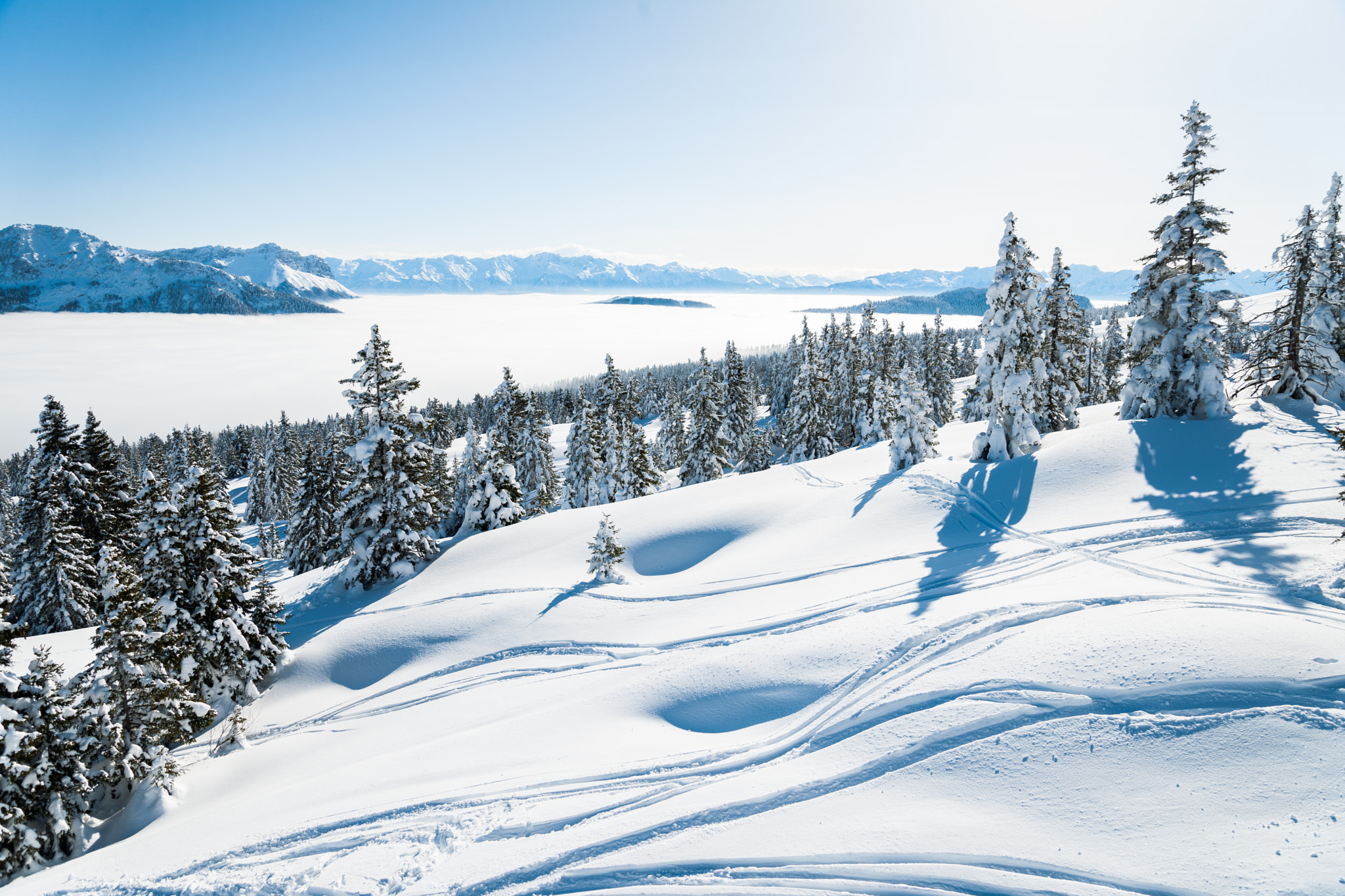 Nikon D3X sample photo. Obviously not taken this winter... photography