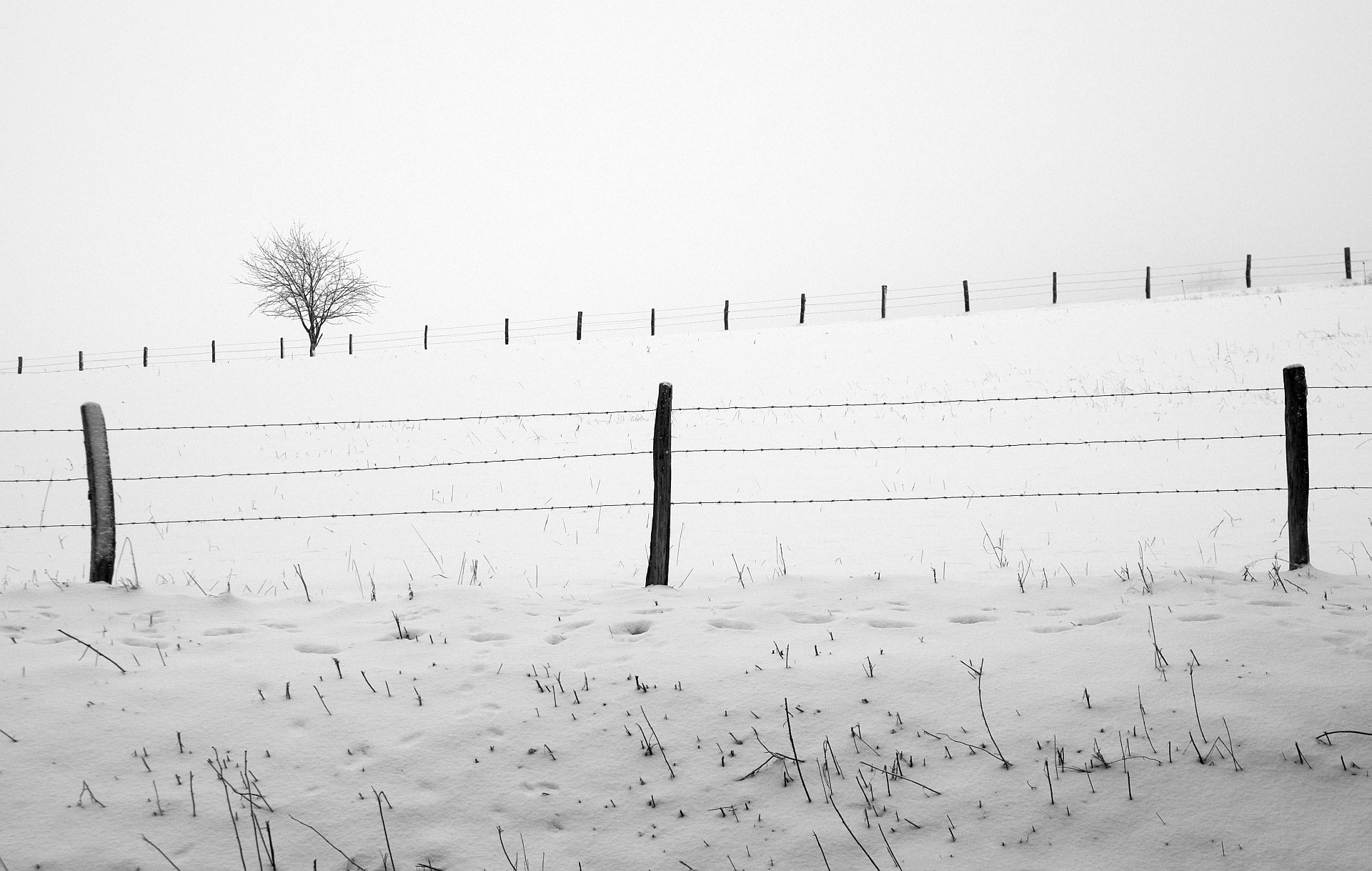 Pentax K-30 sample photo. Winter lines photography