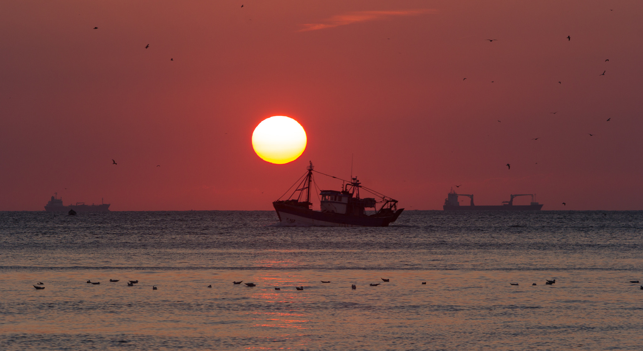 Canon EF 70-200mm F2.8L IS USM sample photo. Safi west coast photography