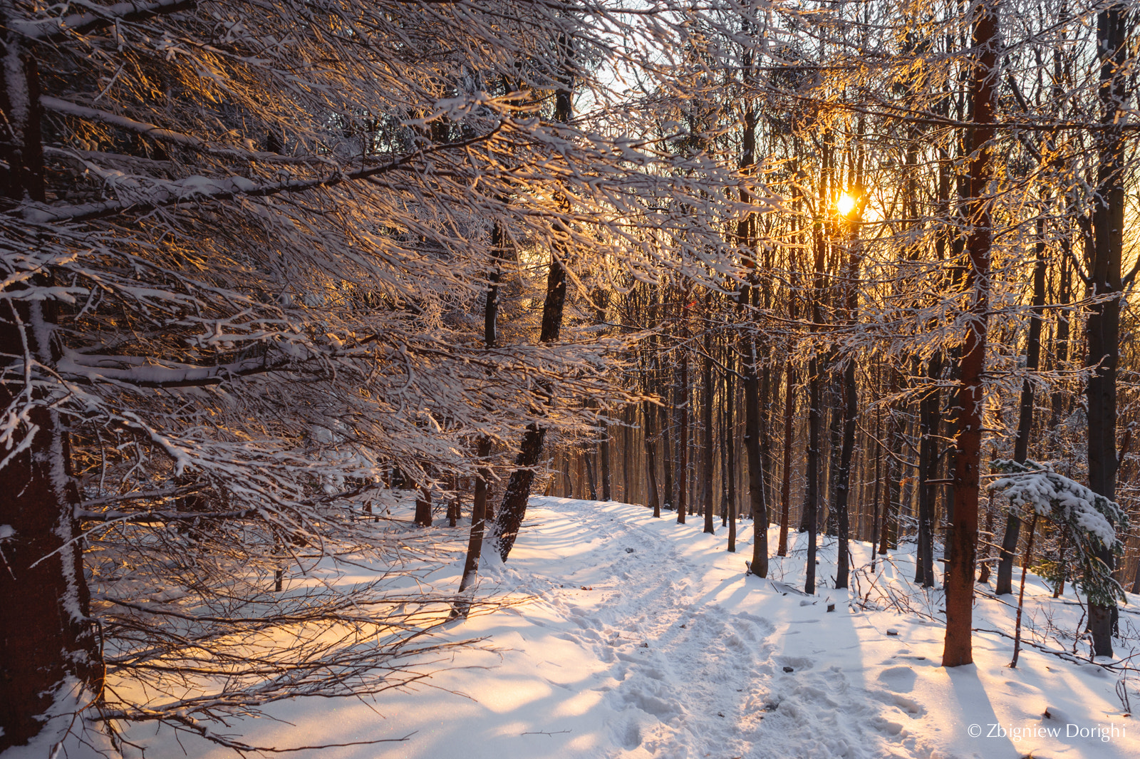 Sigma 24mm F1.8 EX DG Aspherical Macro sample photo. Frosty winter evening photography