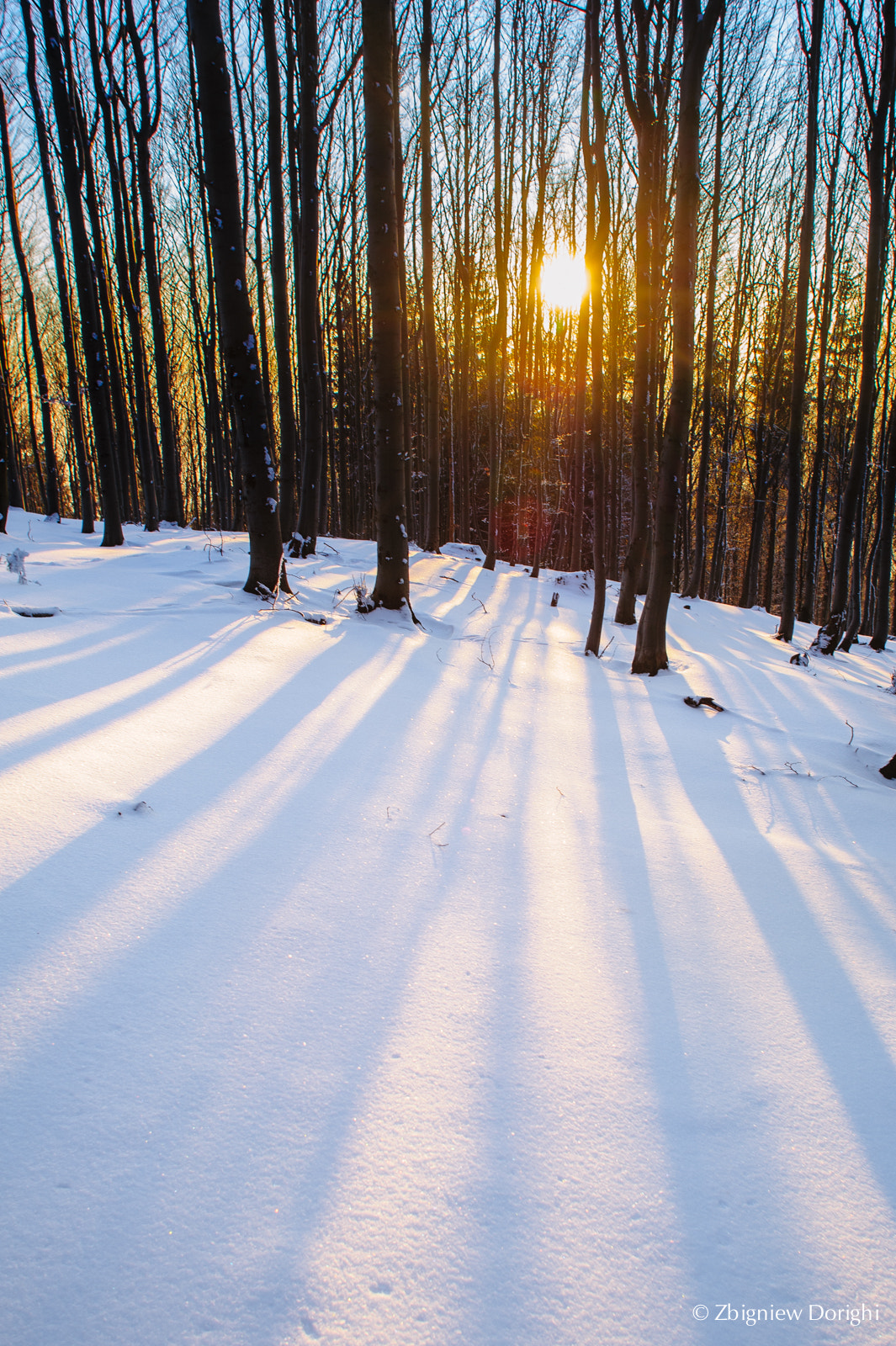 Nikon D700 + Sigma 24mm F1.8 EX DG Aspherical Macro sample photo. Winter evening photography