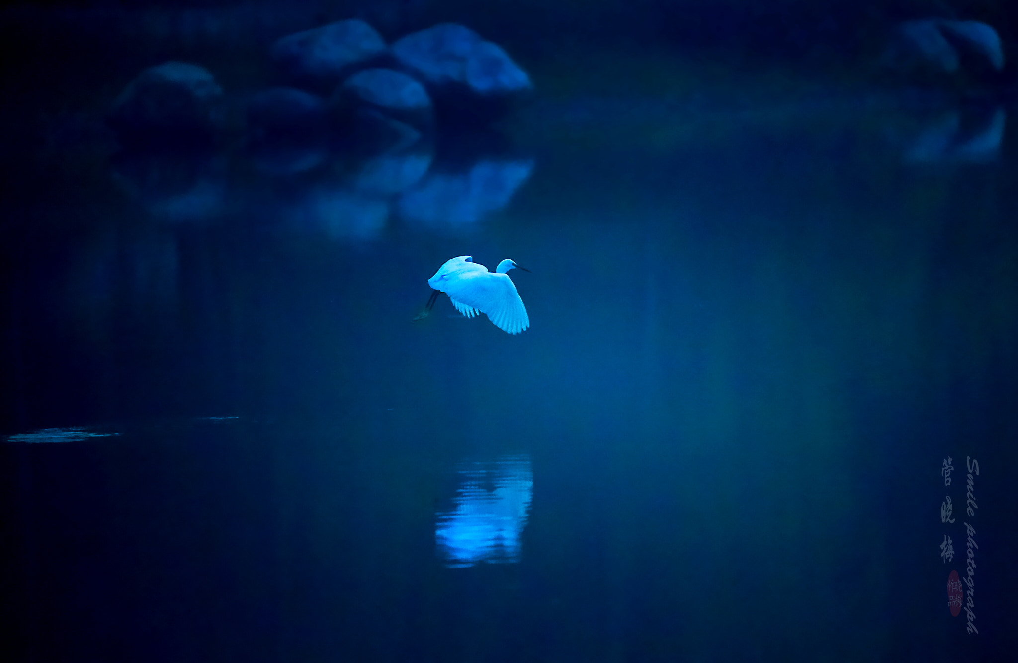 Sigma 150-600mm F5-6.3 DG OS HSM | C sample photo