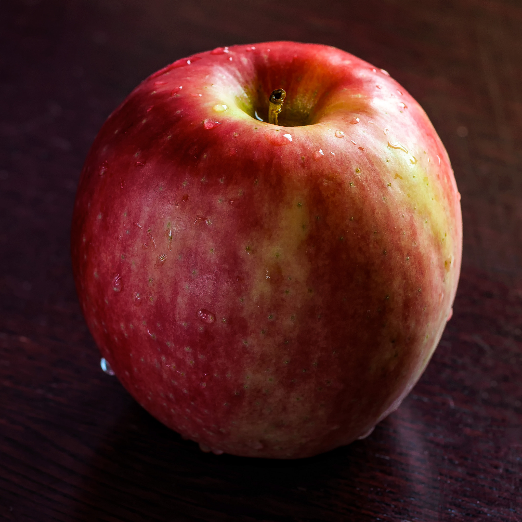Tokina AT-X Pro 100mm F2.8 Macro sample photo. Pink lady photography