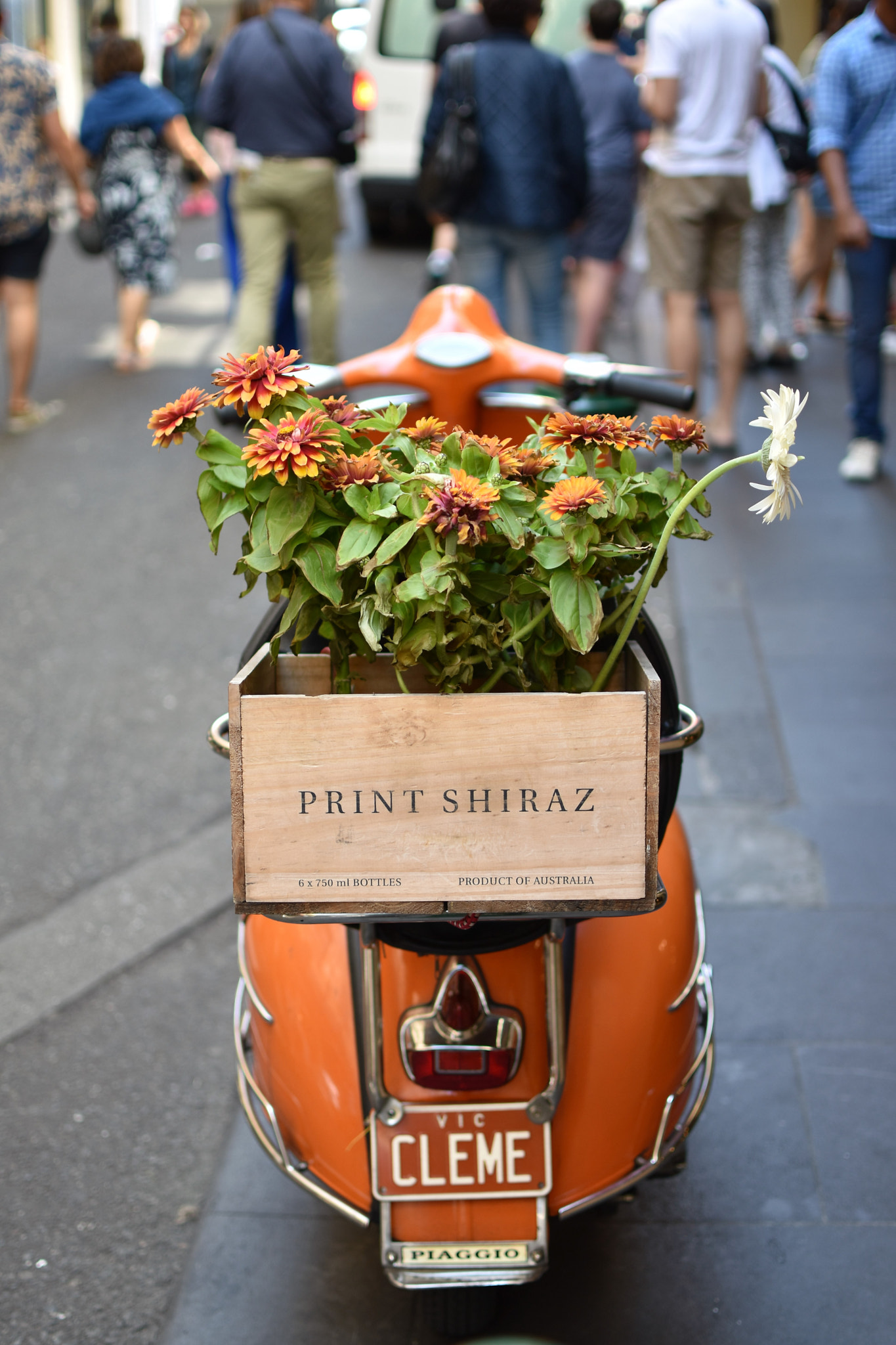 Nikon D5600 sample photo. Dsc photography