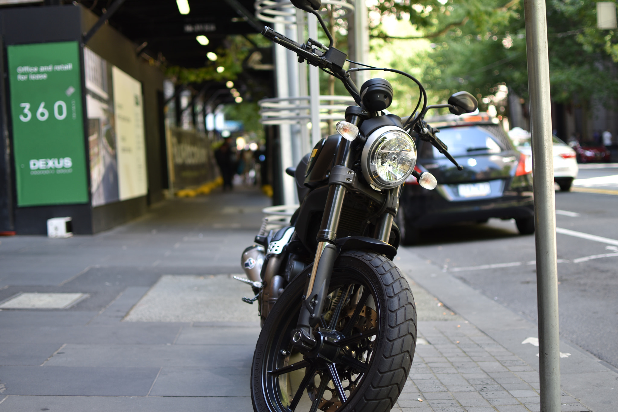 Nikon D5600 sample photo
