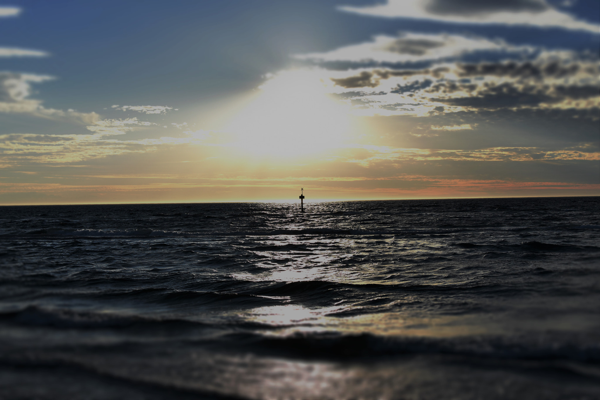Nikon D5600 sample photo. () photography