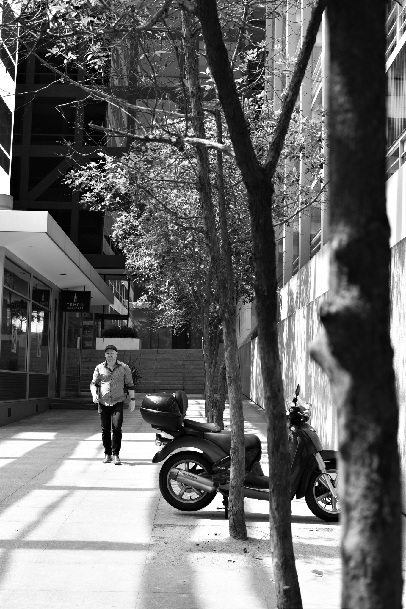 Nikon D5600 sample photo. Dsc photography