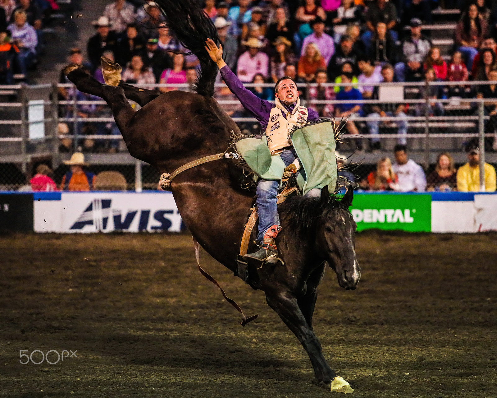 Canon EOS-1D X Mark II + Canon EF 70-200mm F2.8L USM sample photo. Rodeo photography