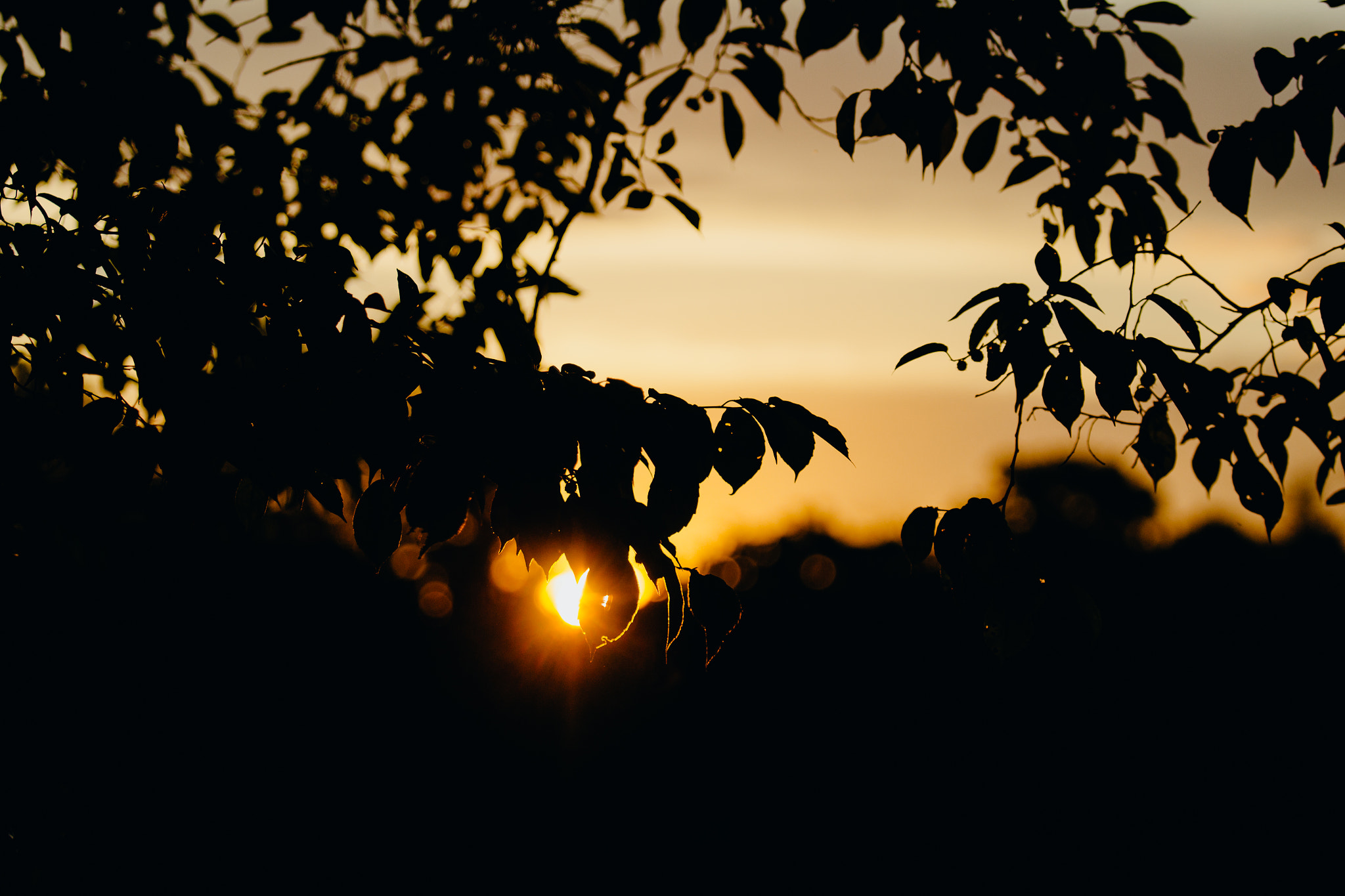 Canon EF 70-200mm F2.8L USM sample photo. Some light... photography