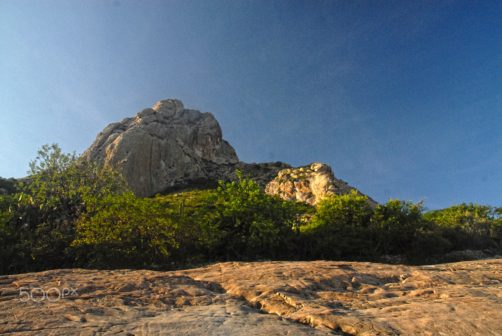 Nikon D200 sample photo. Photos taken while in queretaro photography