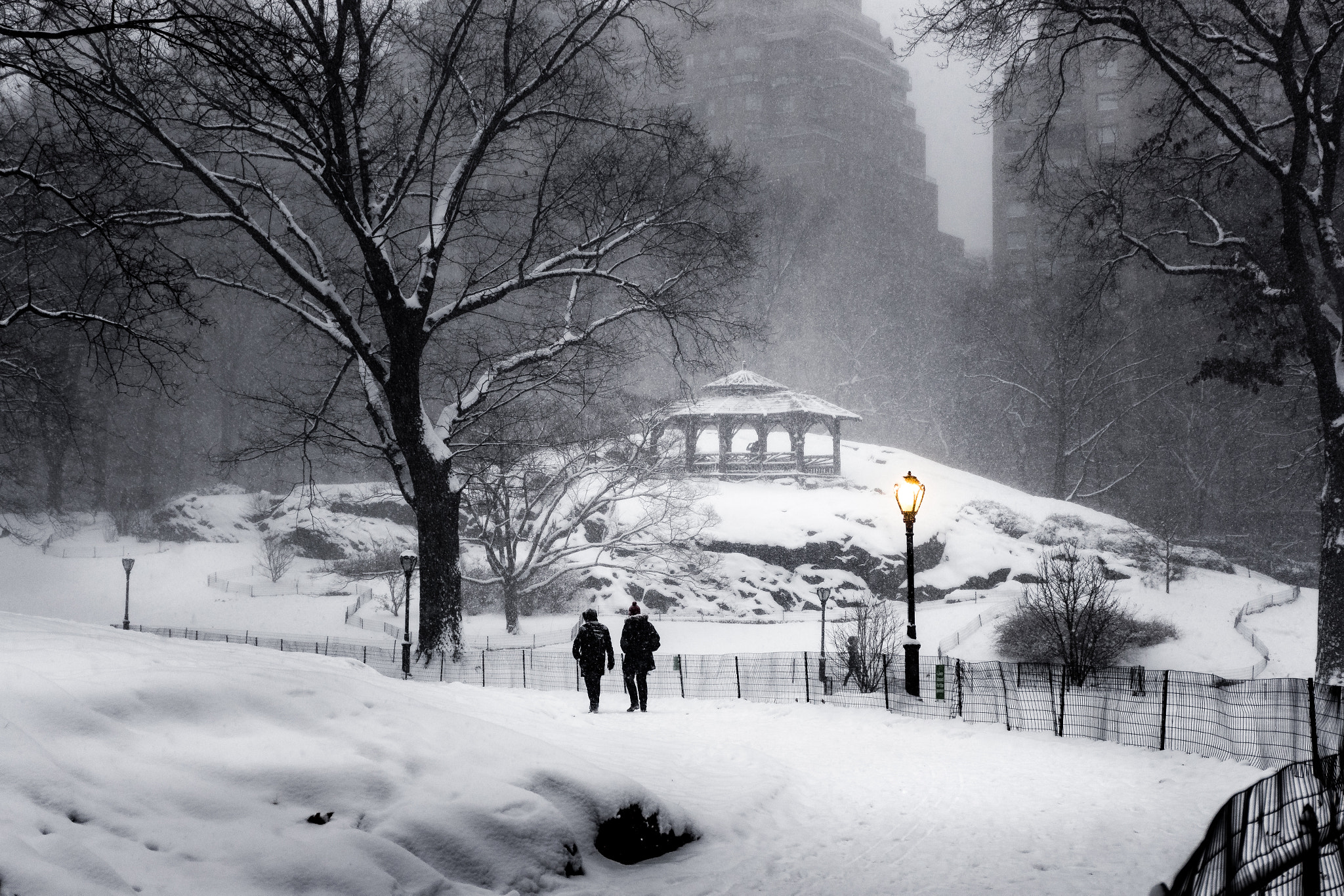 Canon EF 24-70mm F4L IS USM sample photo. Central park stroll in the snow photography