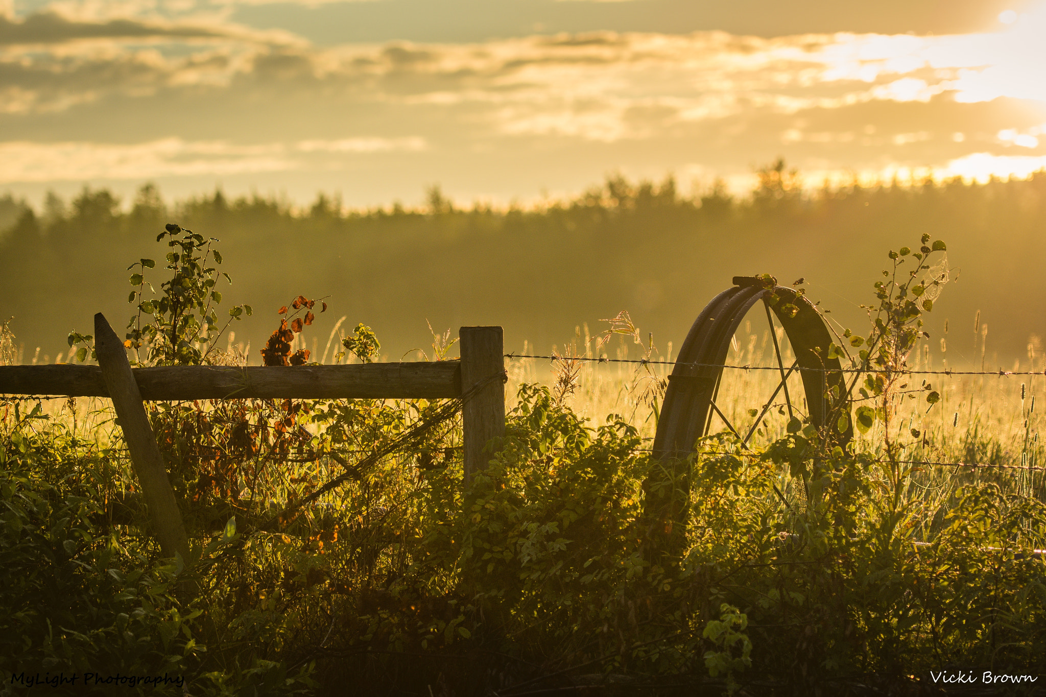 Nikon AF-S Nikkor 70-200mm F2.8G ED VR II sample photo. Tequila sunrise photography
