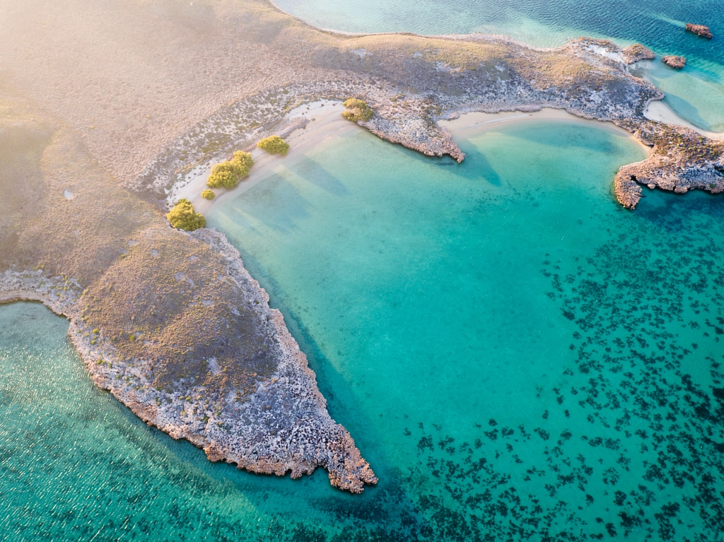 Scorched Tropics by Salty Wings on 500px.com