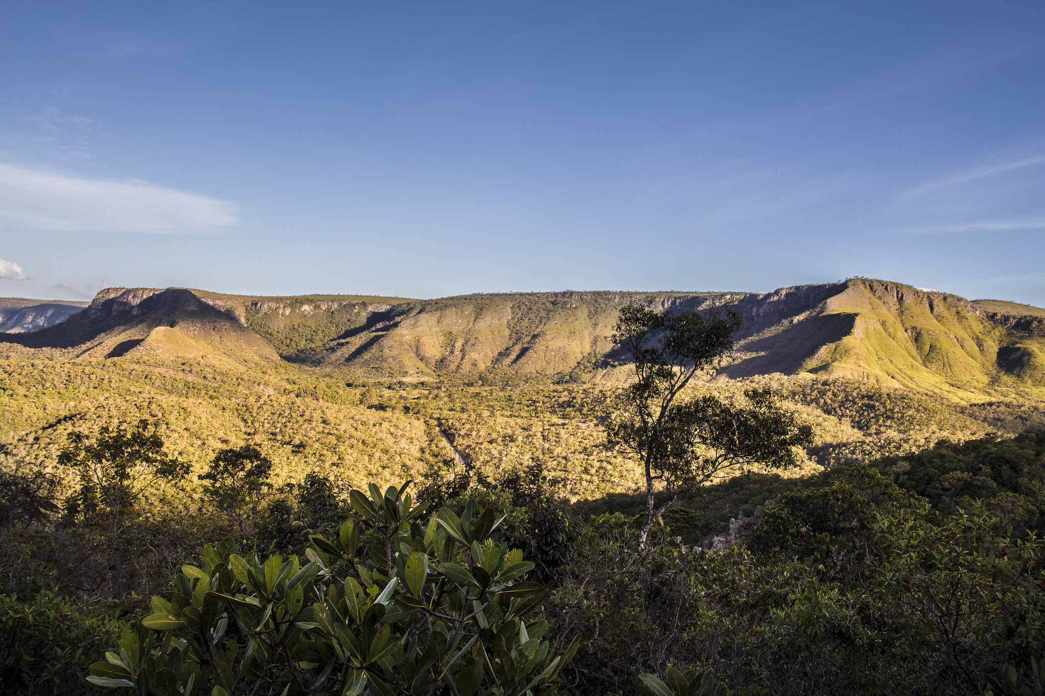 Canon EF-S 18-135mm F3.5-5.6 IS sample photo. Brazil - chapada dos veadeiros photography