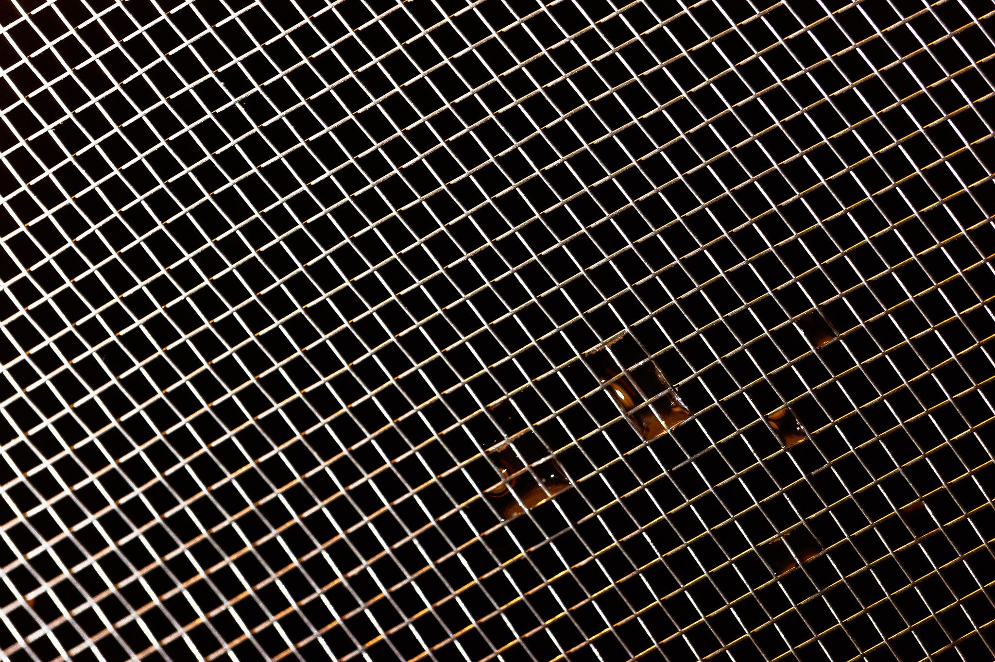 Sigma 150mm F2.8 EX DG Macro HSM sample photo. Hidden messages photography