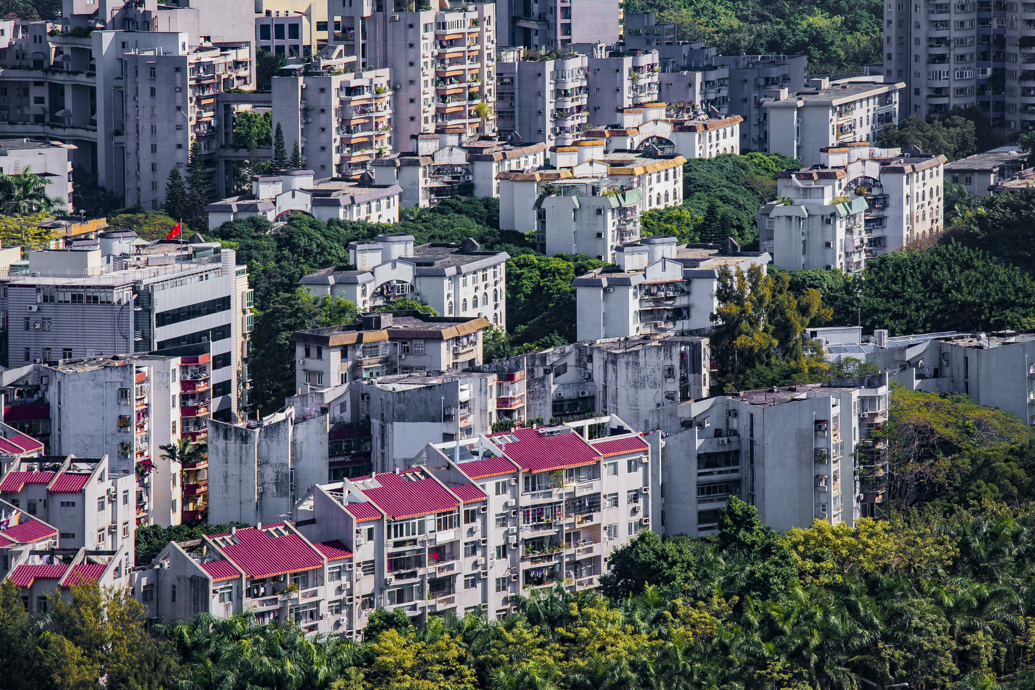Sigma 28-300mm F3.5-6.3 DG Macro sample photo. Shenzhen  photography