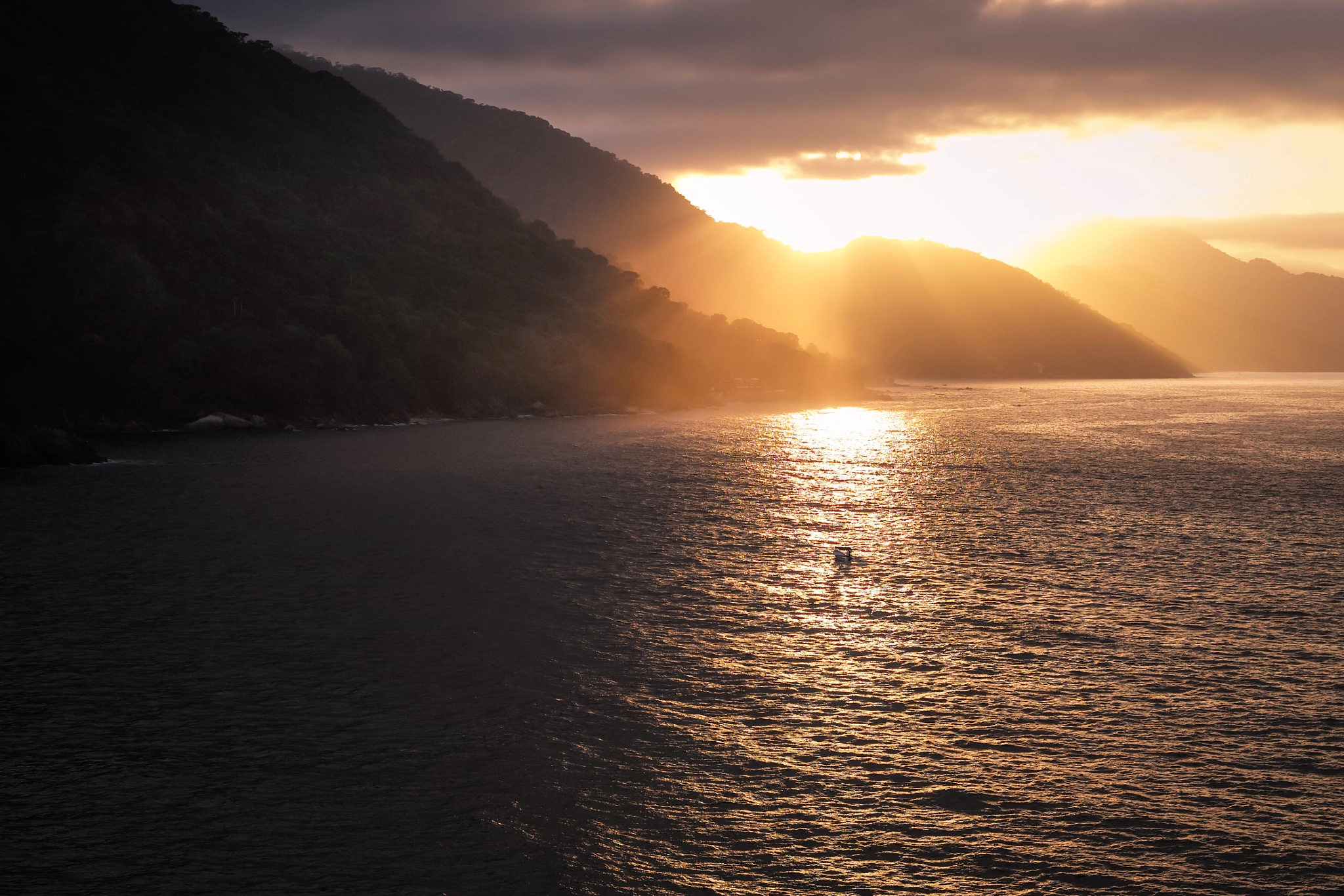 Leica APO-Summicron-M 50mm F2 ASPH sample photo. Golden coast photography
