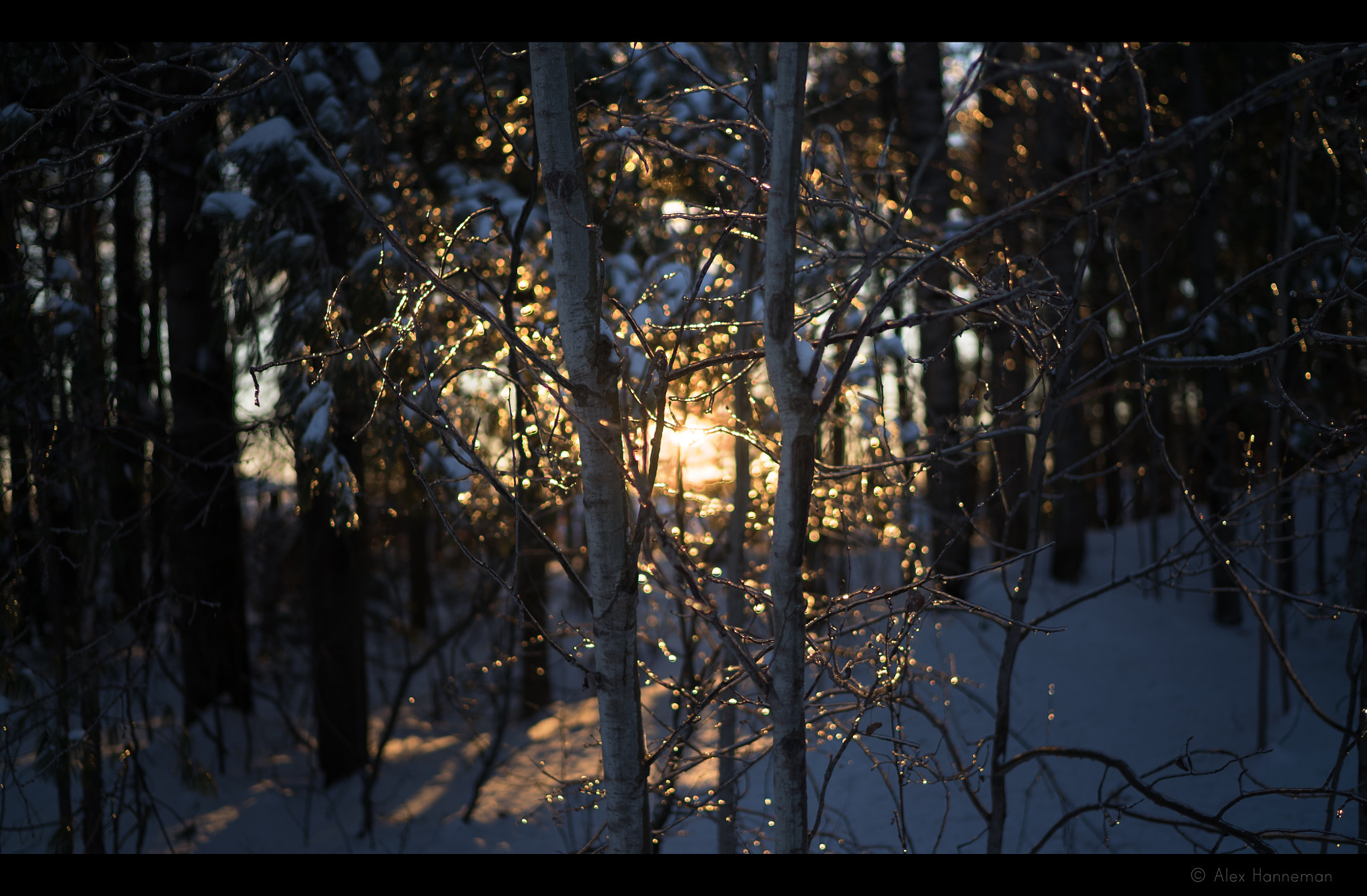 Sony a7S II + Sony Distagon T* FE 35mm F1.4 ZA sample photo. Golden ice photography