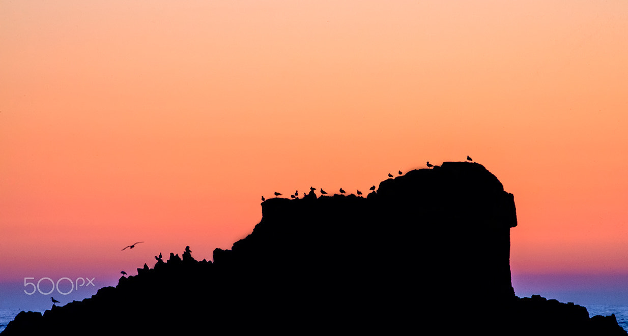 Nikon AF-S Nikkor 200-500mm F5.6E ED VR sample photo. Sunset photography