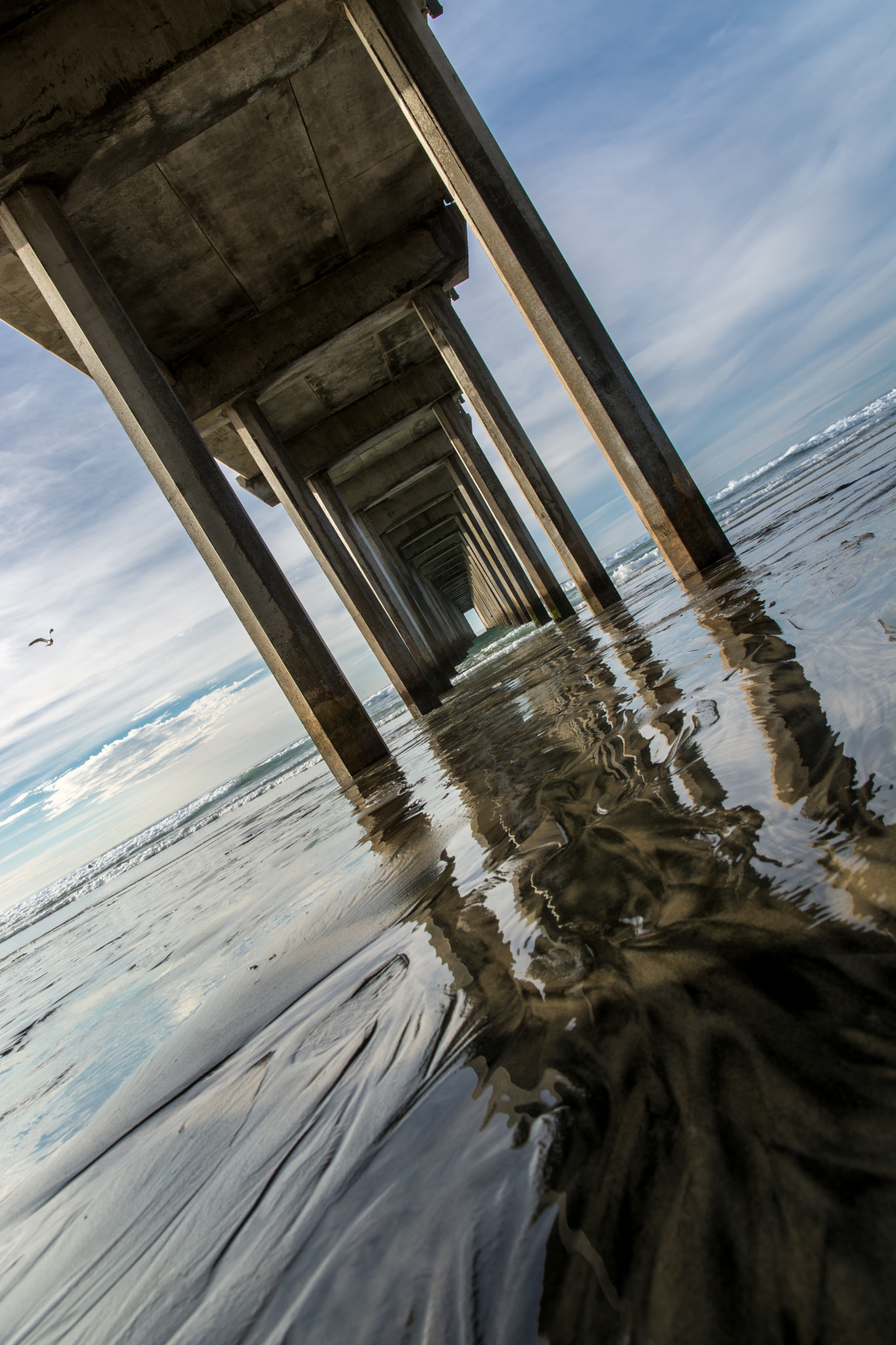 Sigma 17-70mm F2.8-4.5 DC Macro Asp. IF sample photo. Scripps photography