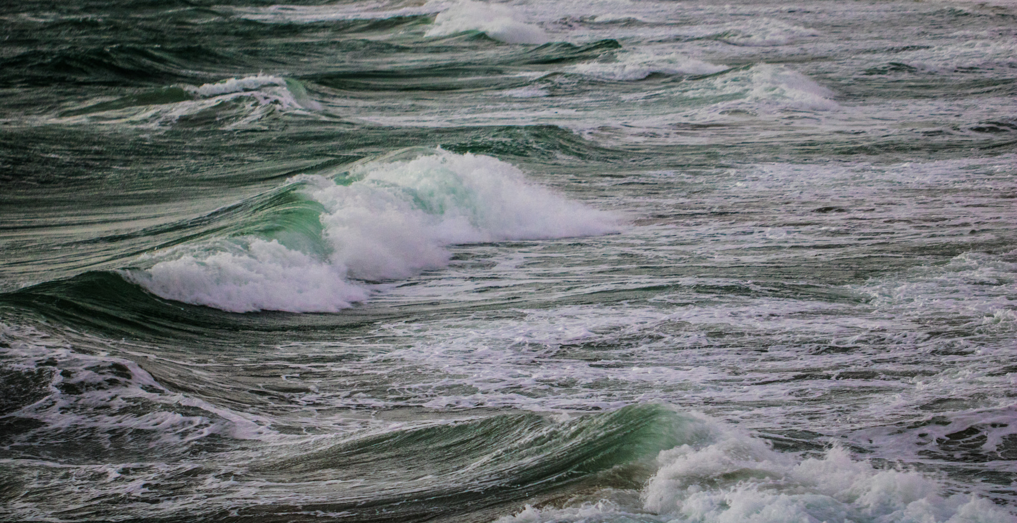 Canon EOS 760D (EOS Rebel T6s / EOS 8000D) sample photo. Floridahasmyheart photography