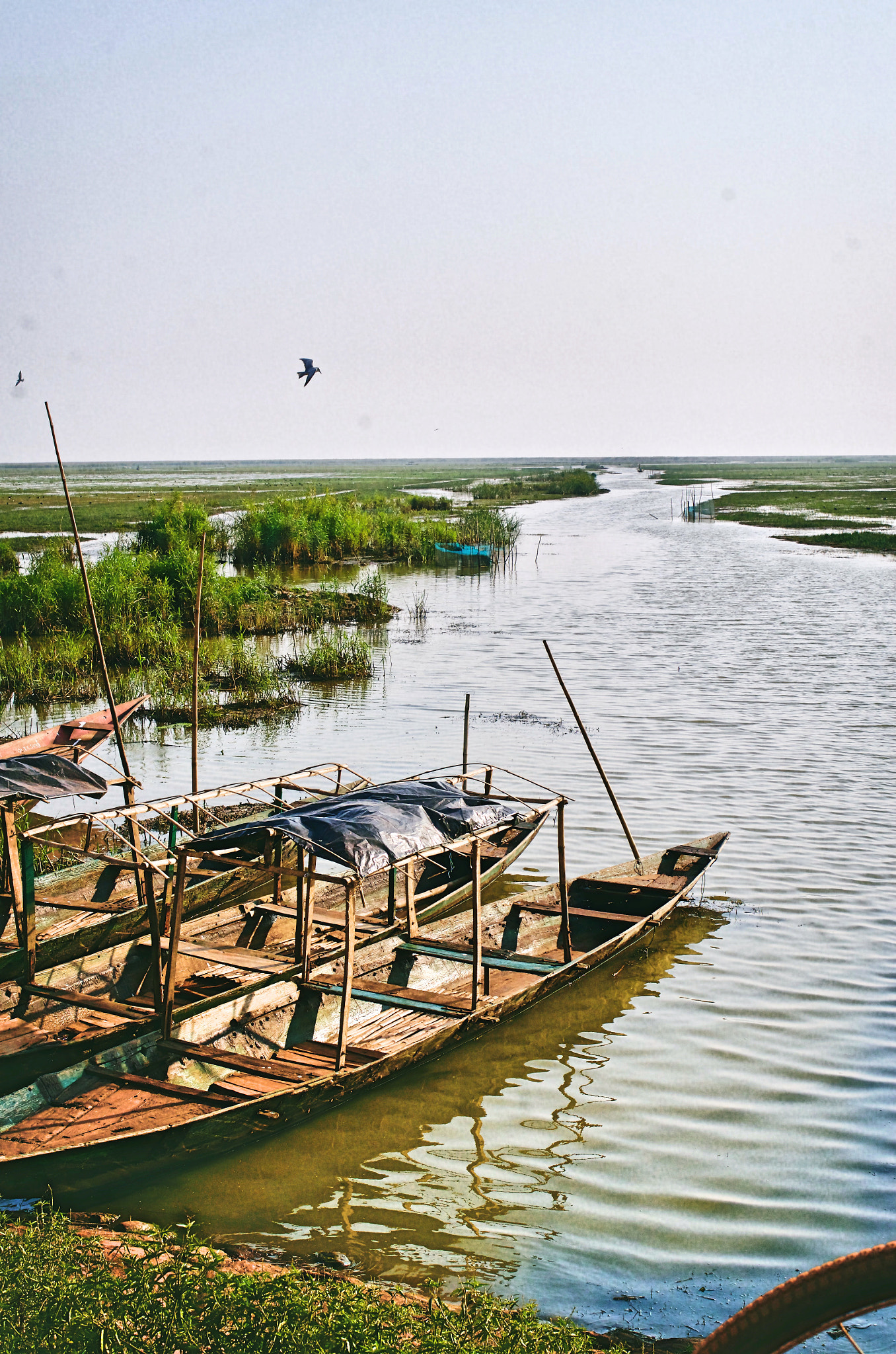 Pentax K-01 + Pentax smc DA 35mm F2.4 AL sample photo. Wetland chilika lake photography