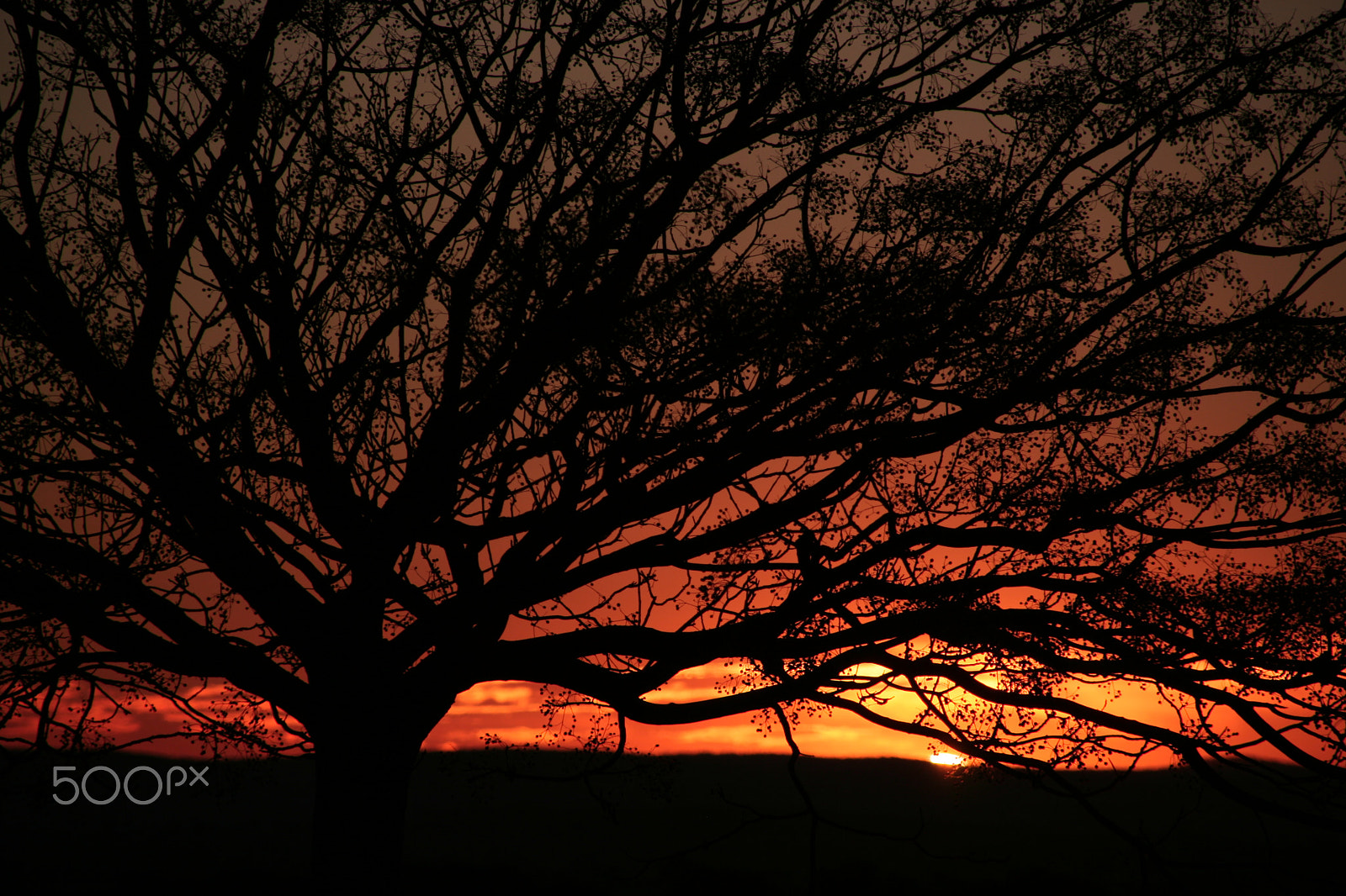 Canon EOS 400D (EOS Digital Rebel XTi / EOS Kiss Digital X) sample photo. Hidden sunset photography