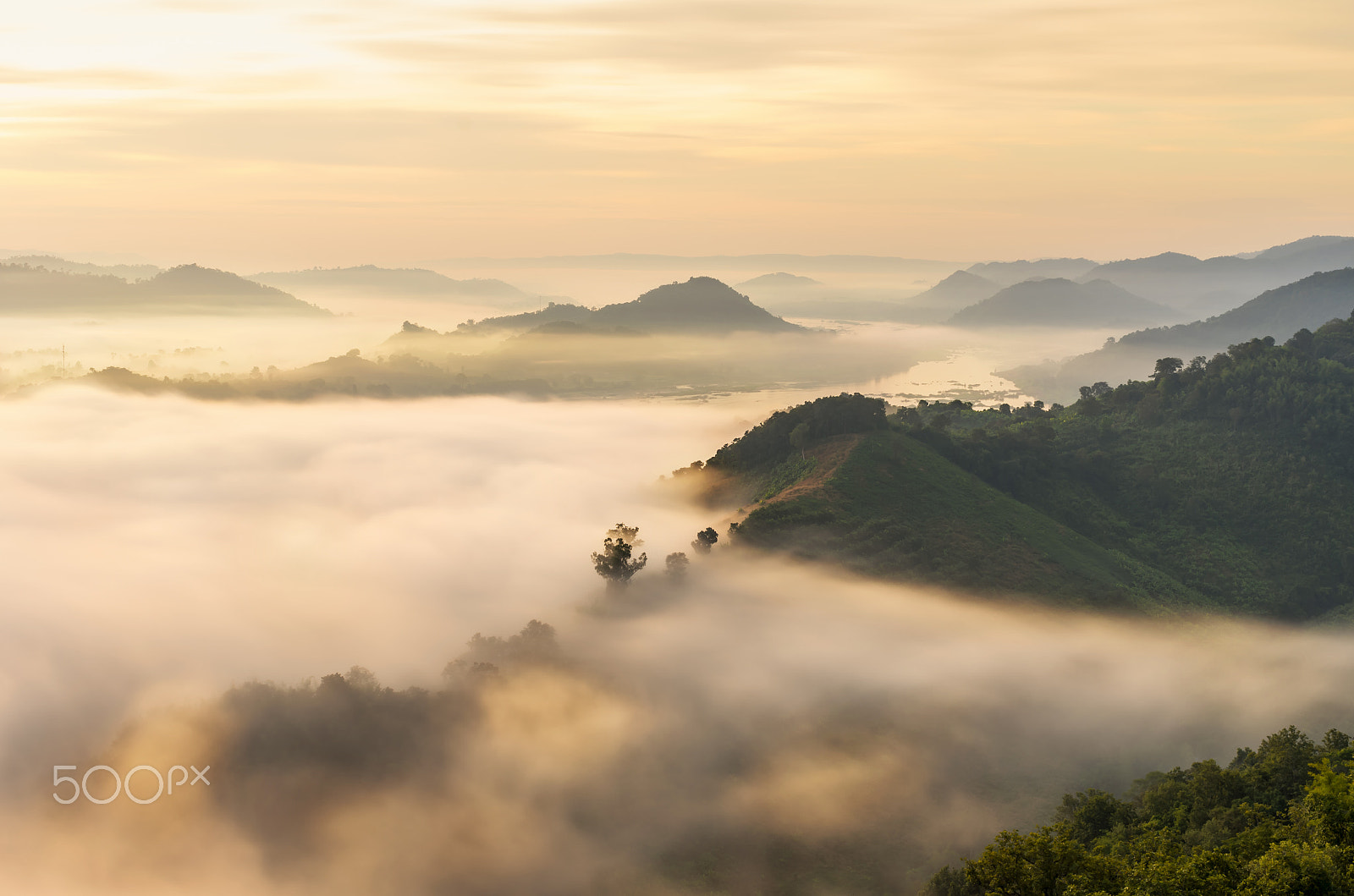 Pentax smc DA 35mm F2.8 Macro Limited sample photo. Mountain with fog landscape on morning at phu pha duk, nong khai photography