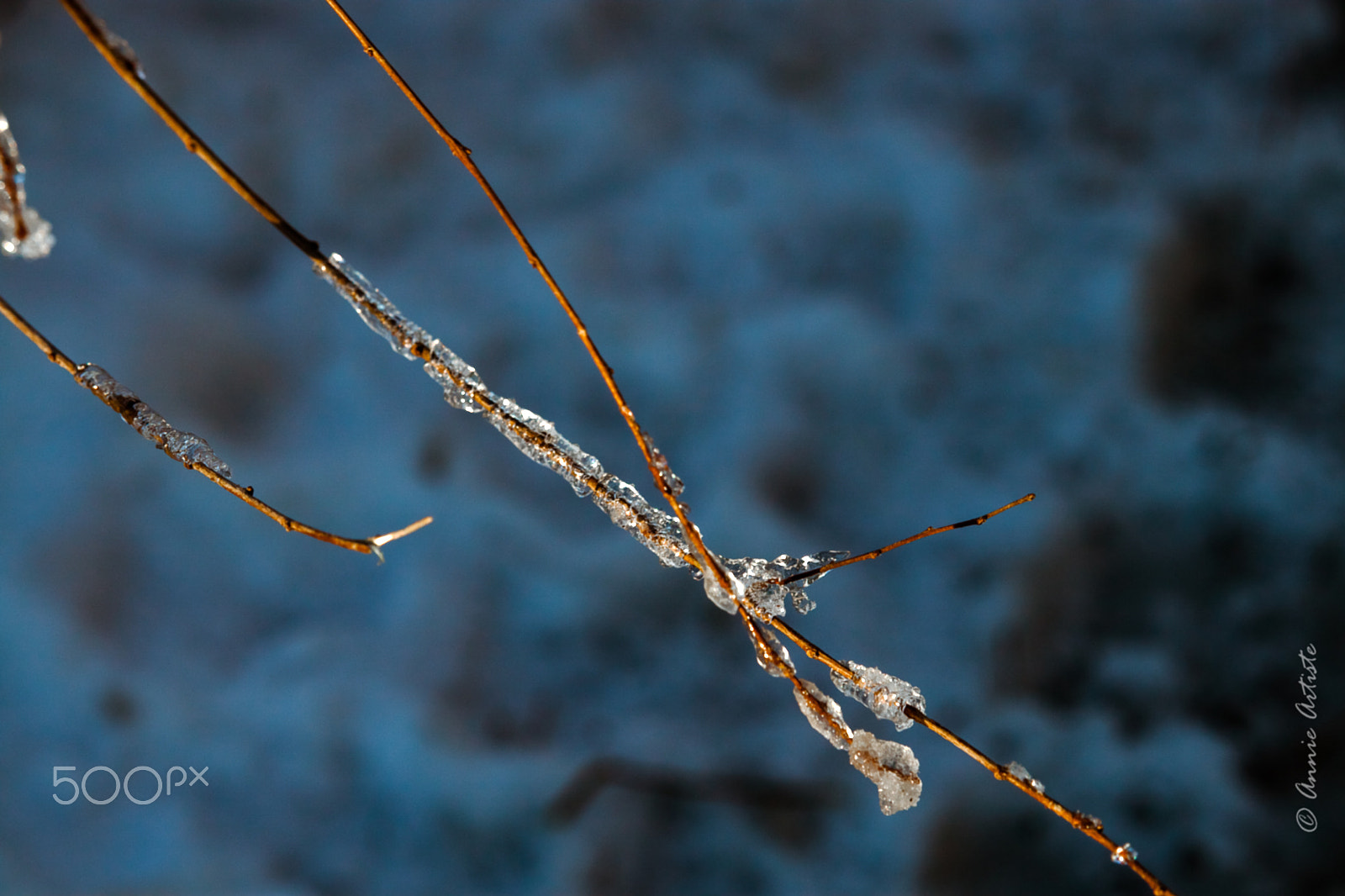 Canon EF-S 55-250mm F4-5.6 IS STM sample photo. Entrecroiser photography