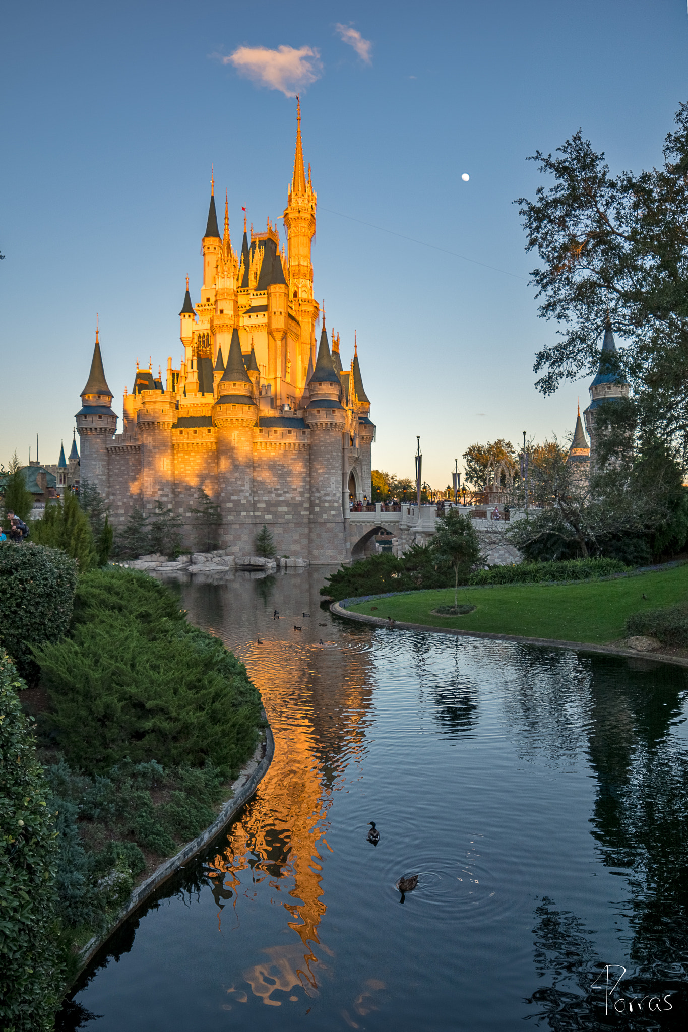 Samyang 14mm F2.8 ED AS IF UMC sample photo. Cindirella's castle photography