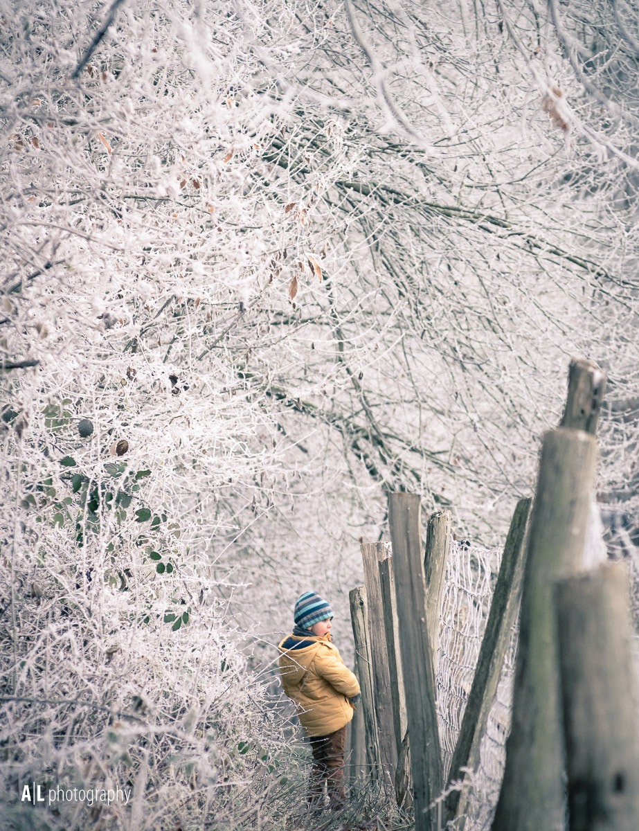 Pentax smc DA* 50-135mm F2.8 ED (IF) SDM sample photo. Kid under frozen trees photography