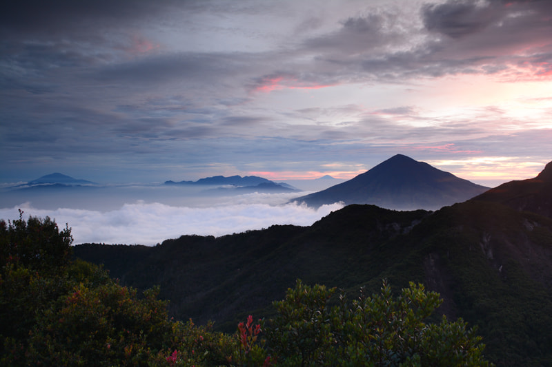 Nikon D7100 + Sigma 50mm F2.8 EX DG Macro sample photo. Sunrise at papandayan mountain photography