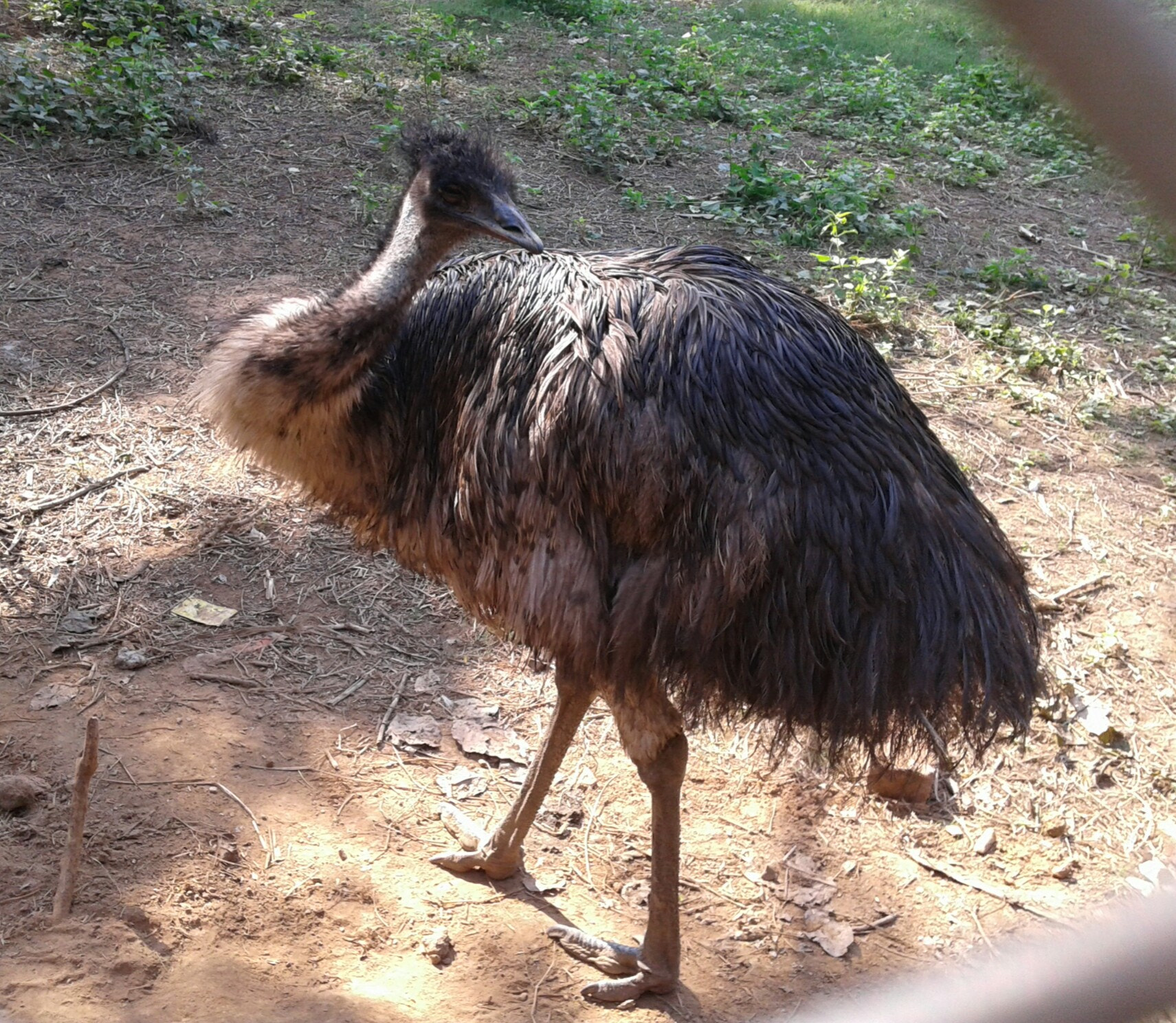 Samsung Galaxy Grand Neo Plus sample photo