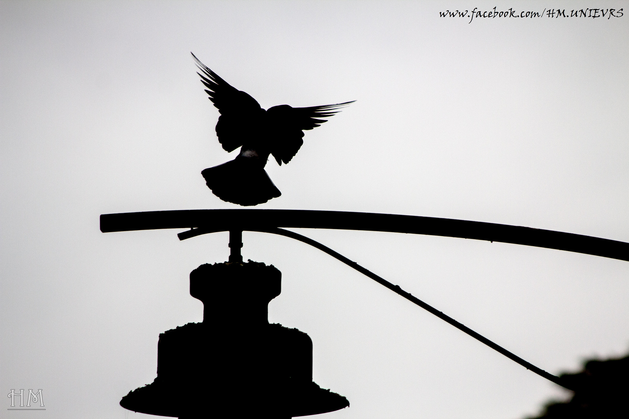 Canon EF 90-300mm F4.5-5.6 sample photo. I can fly  photography